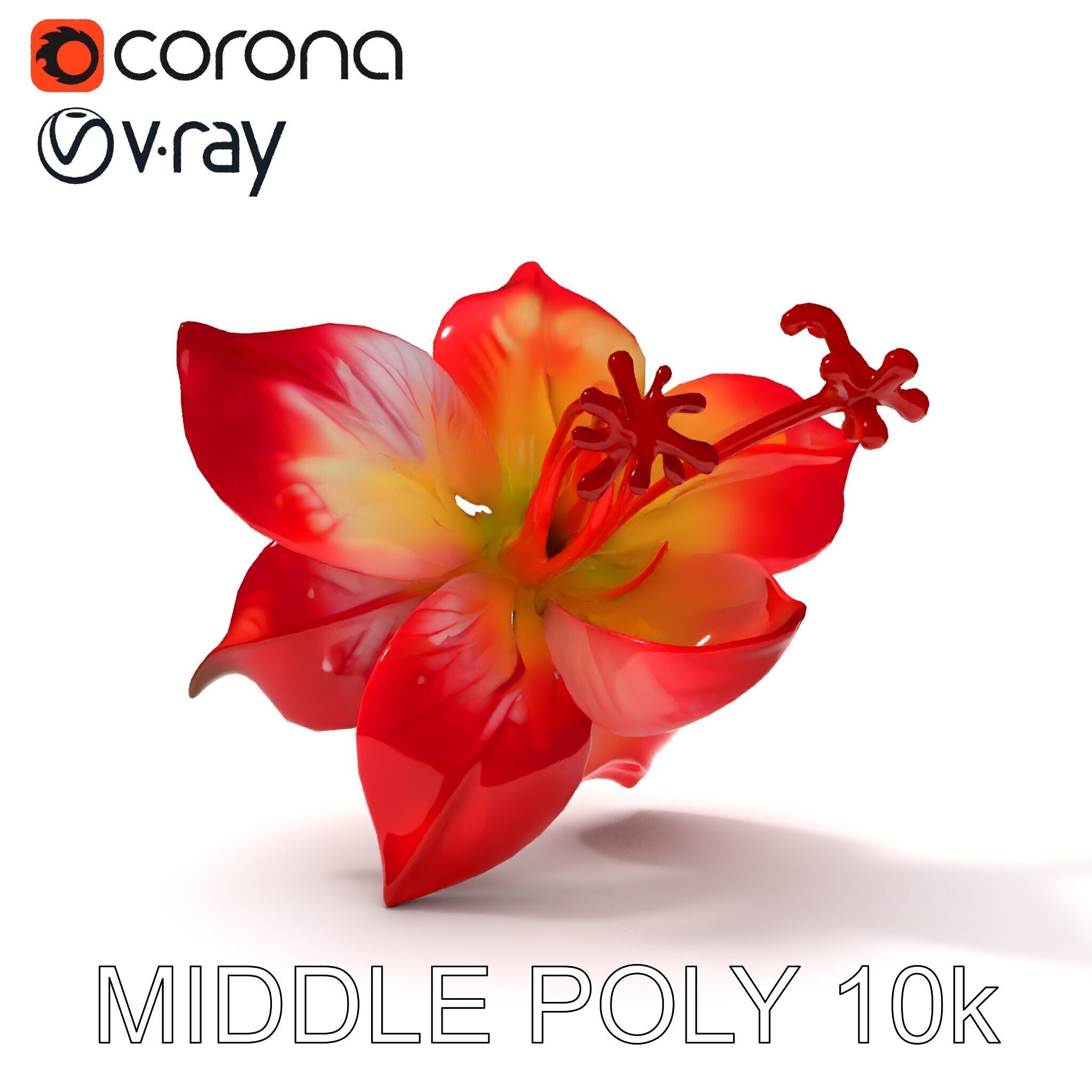 Realistic Hibiscus Flower Model Pack for Versatile Projects Low-poly 3D model_19