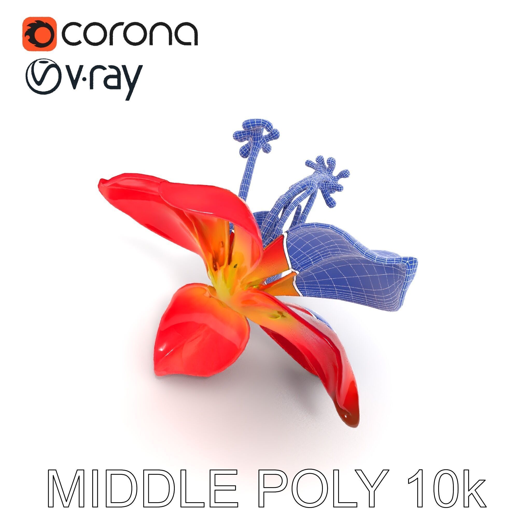 Realistic Hibiscus Flower Model Pack for Versatile Projects Low-poly 3D model_9