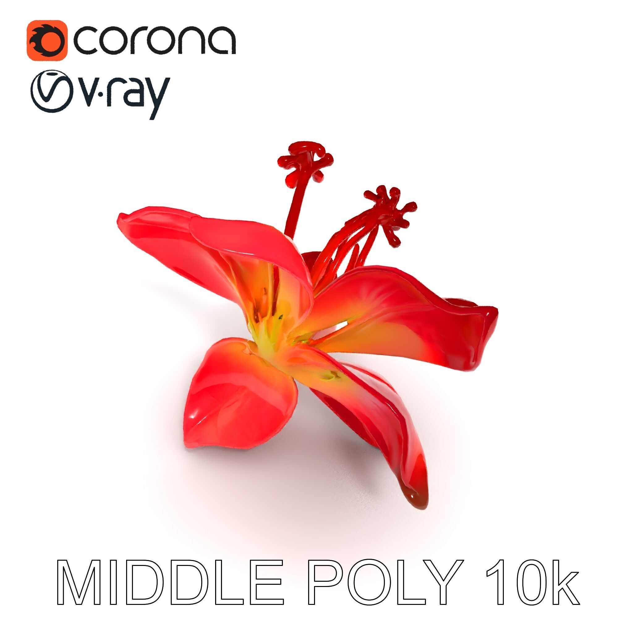 Realistic Hibiscus Flower Model Pack for Versatile Projects Low-poly 3D model_14