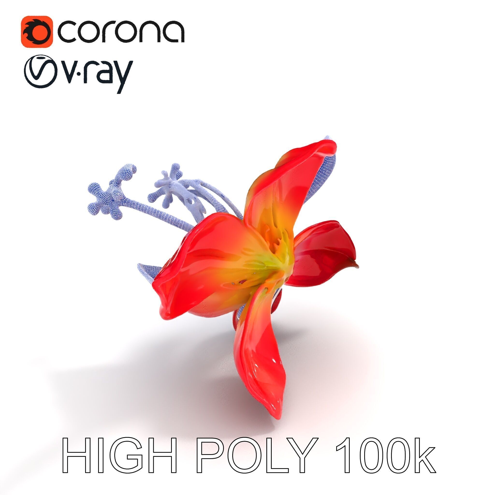 Realistic Hibiscus Flower Model Pack for Versatile Projects Low-poly 3D model_16
