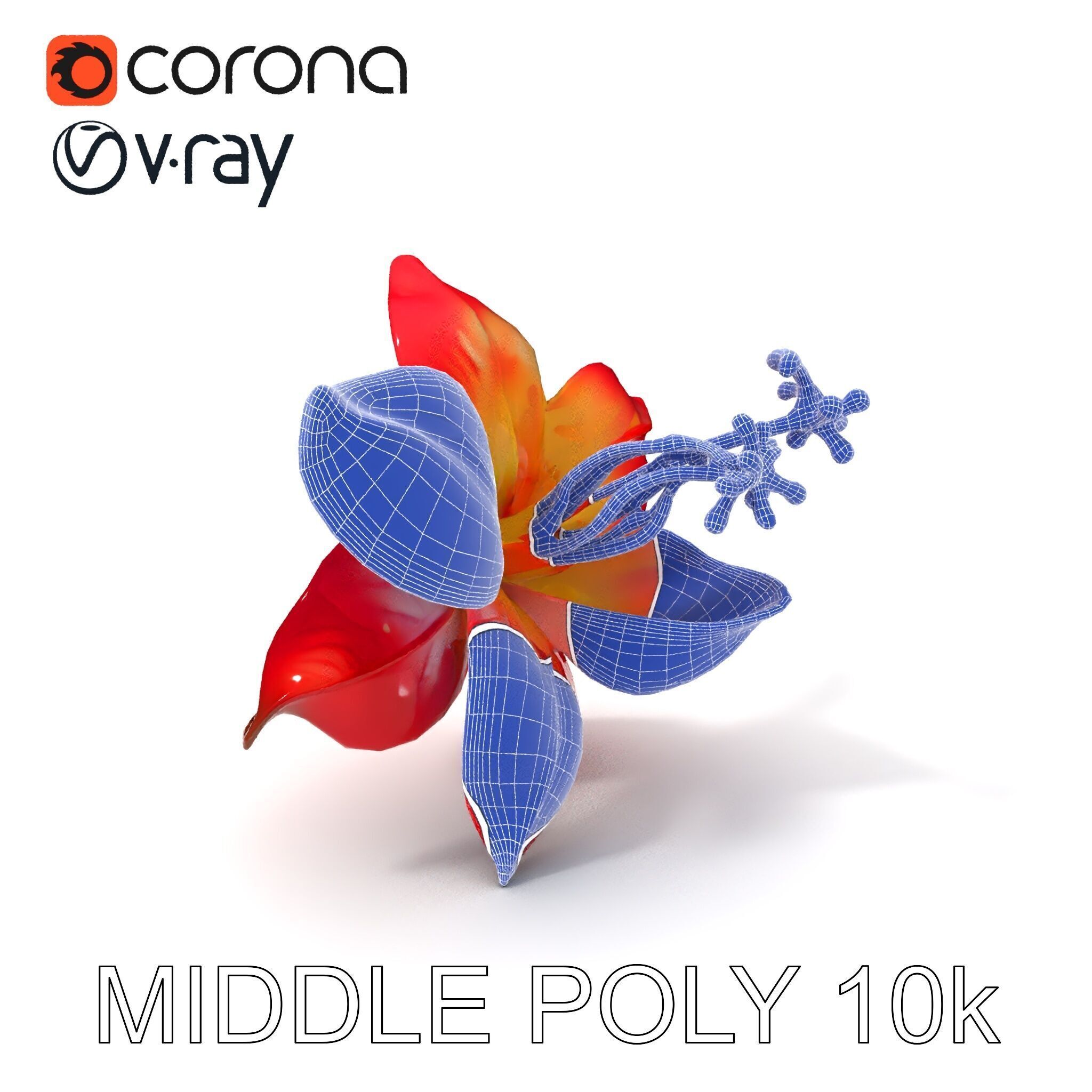 Realistic Hibiscus Flower Model Pack for Versatile Projects Low-poly 3D model_11