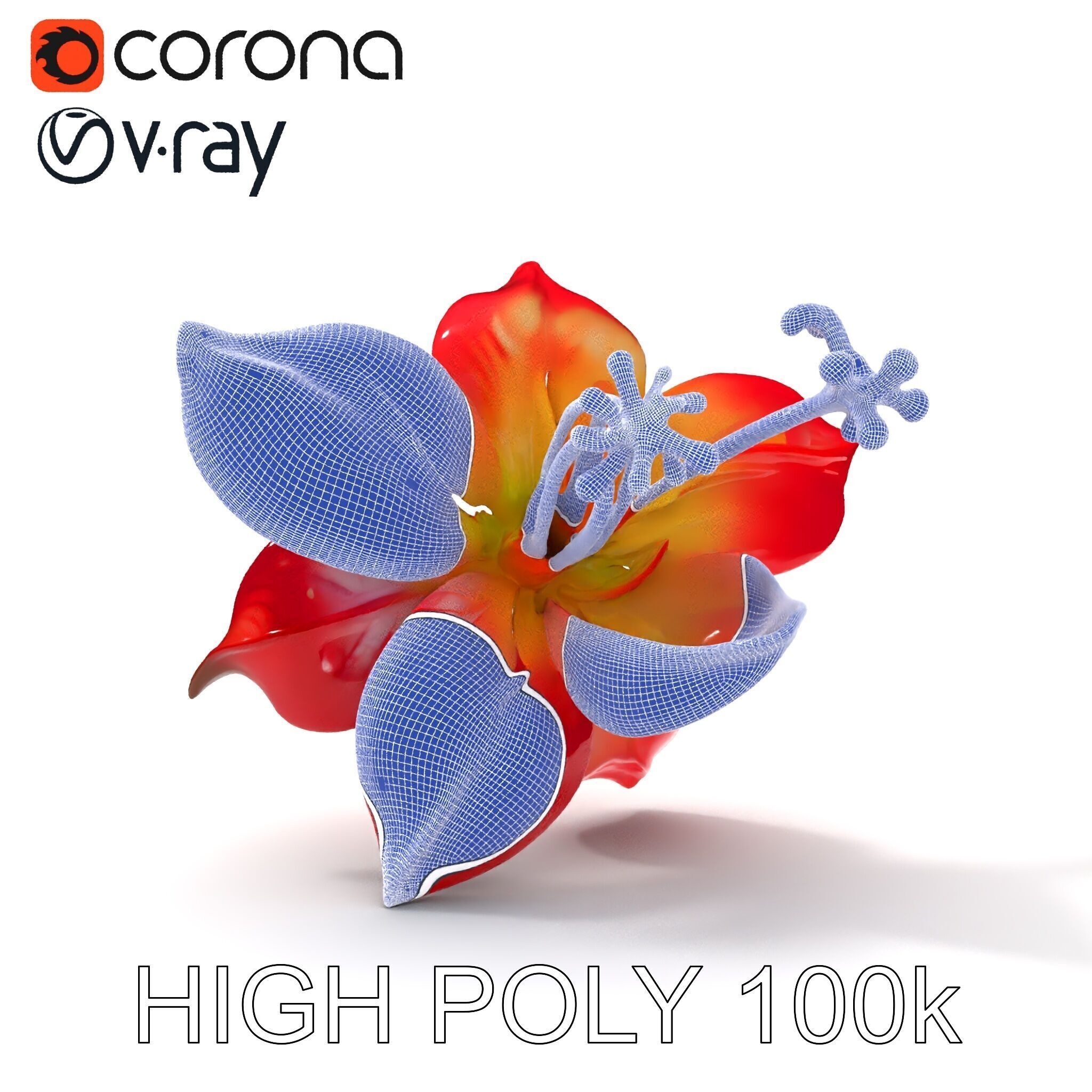 Realistic Hibiscus Flower Model Pack for Versatile Projects Low-poly 3D model_13