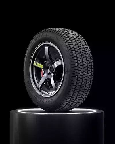 Michelin TRX 220 55 VR365