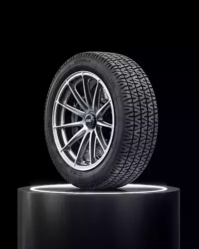 Michelin TRX 190 55 VR340 3D model