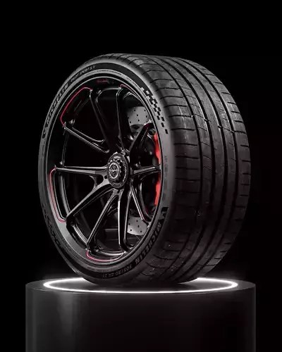 Michelin Pilot Sport S 5 305 30 21 107Y XL