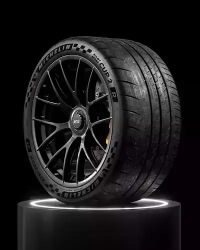 Michelin Pilot Sport CUP 2 R V3 325 30 ZR21 108Y