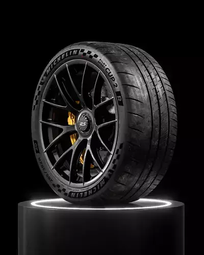 MICHELIN Pilot Sport Cup 2 R V3 265 35 ZR20 99Y