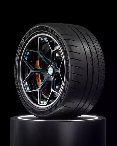 MICHELIN Pilot Sport Cup 2 R 335 30 ZR20 108Y MO1