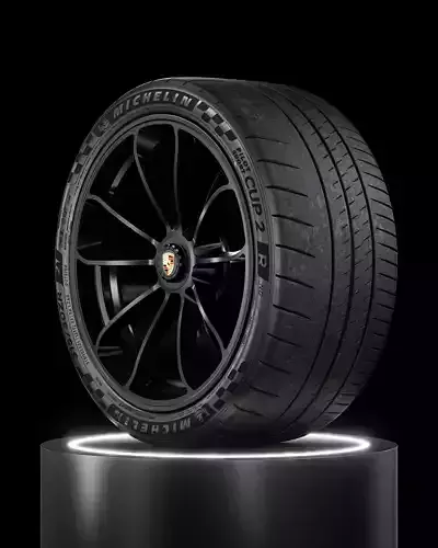 Michelin Pilot Sport CUP 2 R 315 30 ZR21 105Y GT3 3D model