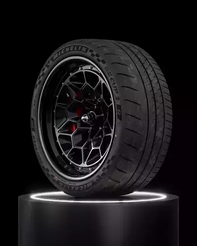 MICHELIN Pilot Sport Cup 2 R 265 35 ZR20 99Y V2