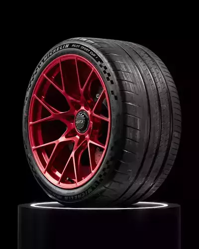 Michelin Pilot Sport Cup 2 335 30 ZR21