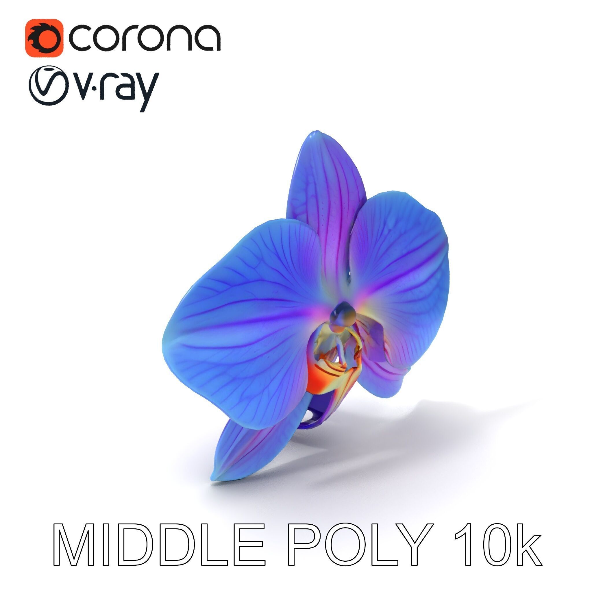 Orchid Flower Model Pack for Realistic D Rendering and Animation Low-poly 3D model_11