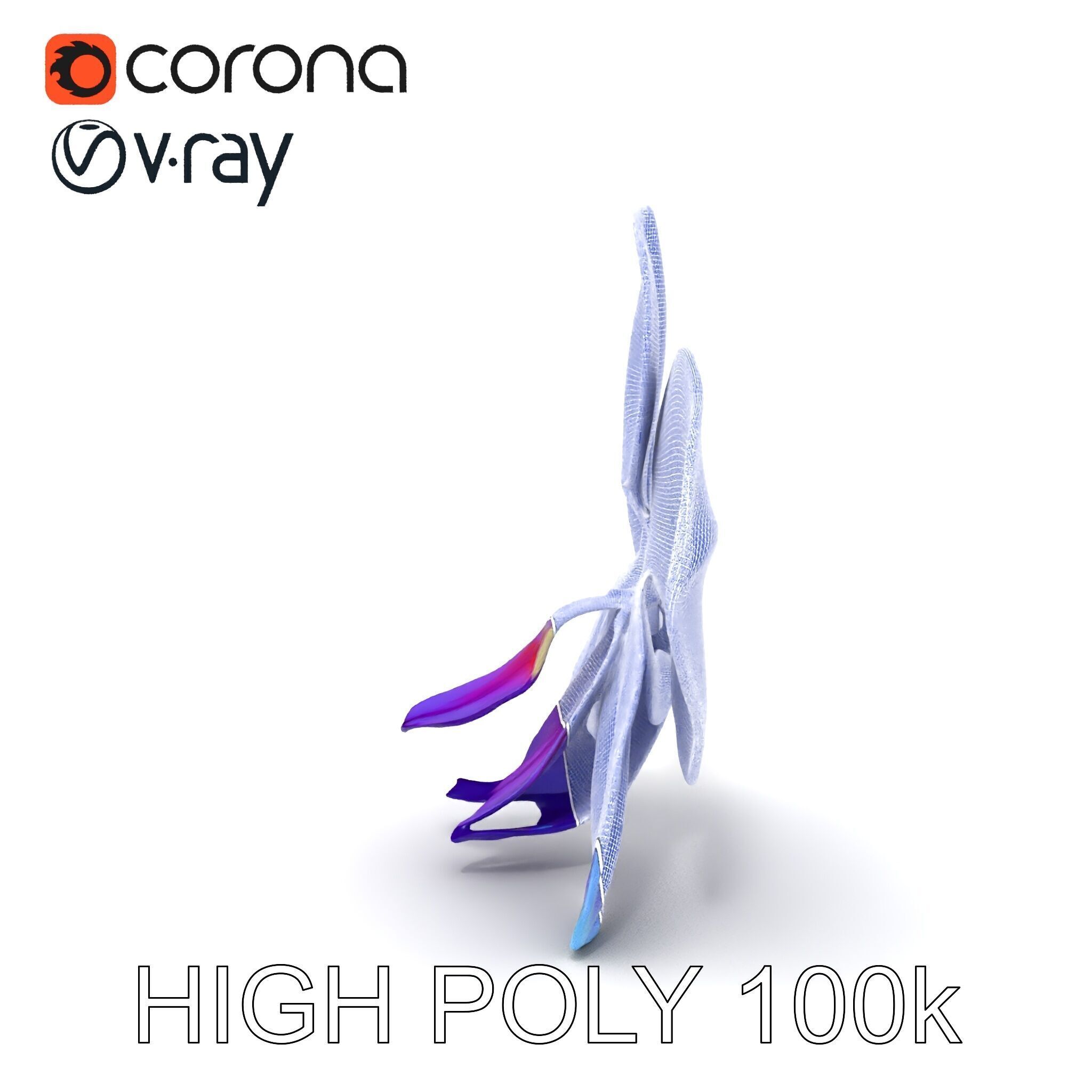 Orchid Flower Model Pack for Realistic D Rendering and Animation Low-poly 3D model_22