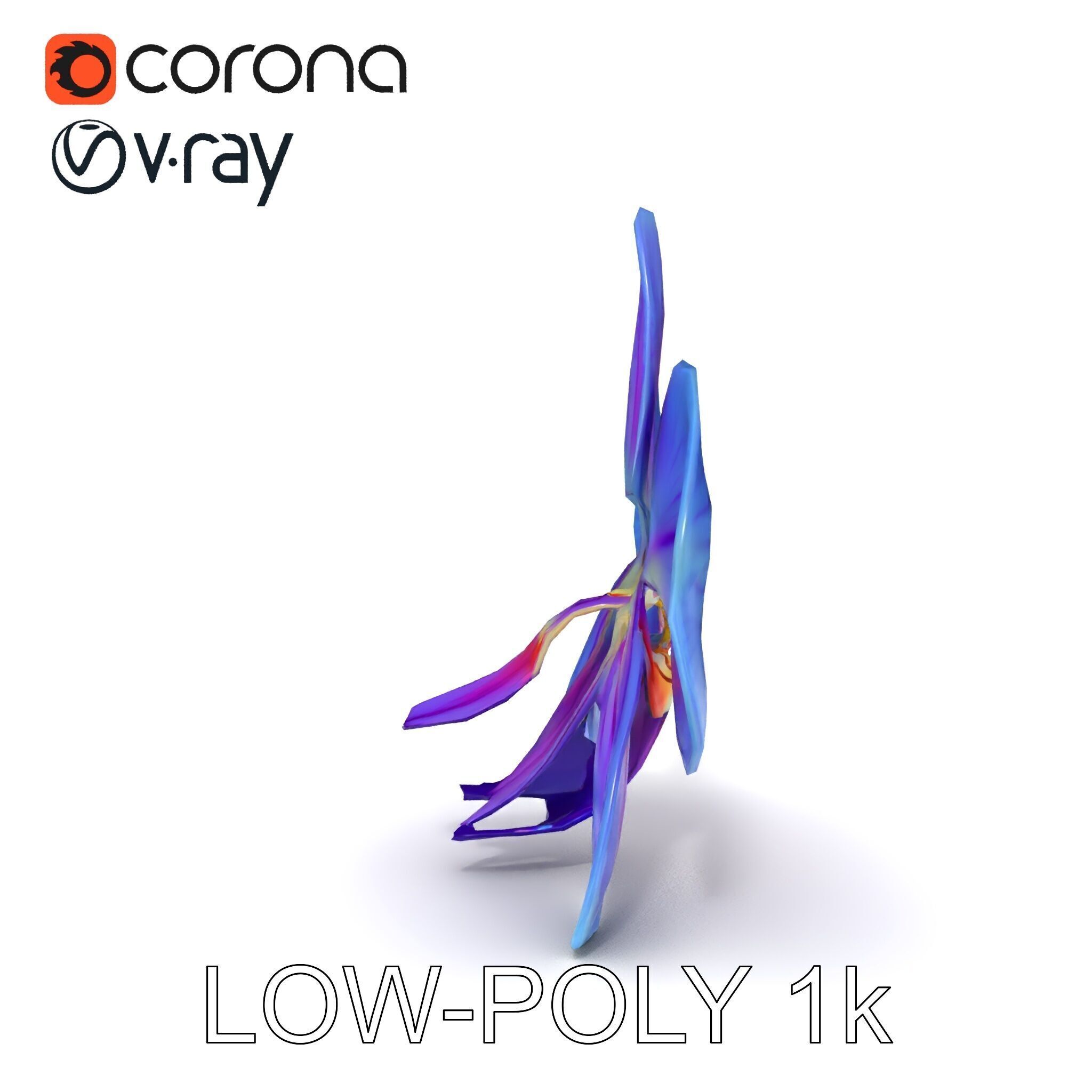 Orchid Flower Model Pack for Realistic D Rendering and Animation Low-poly 3D model_27