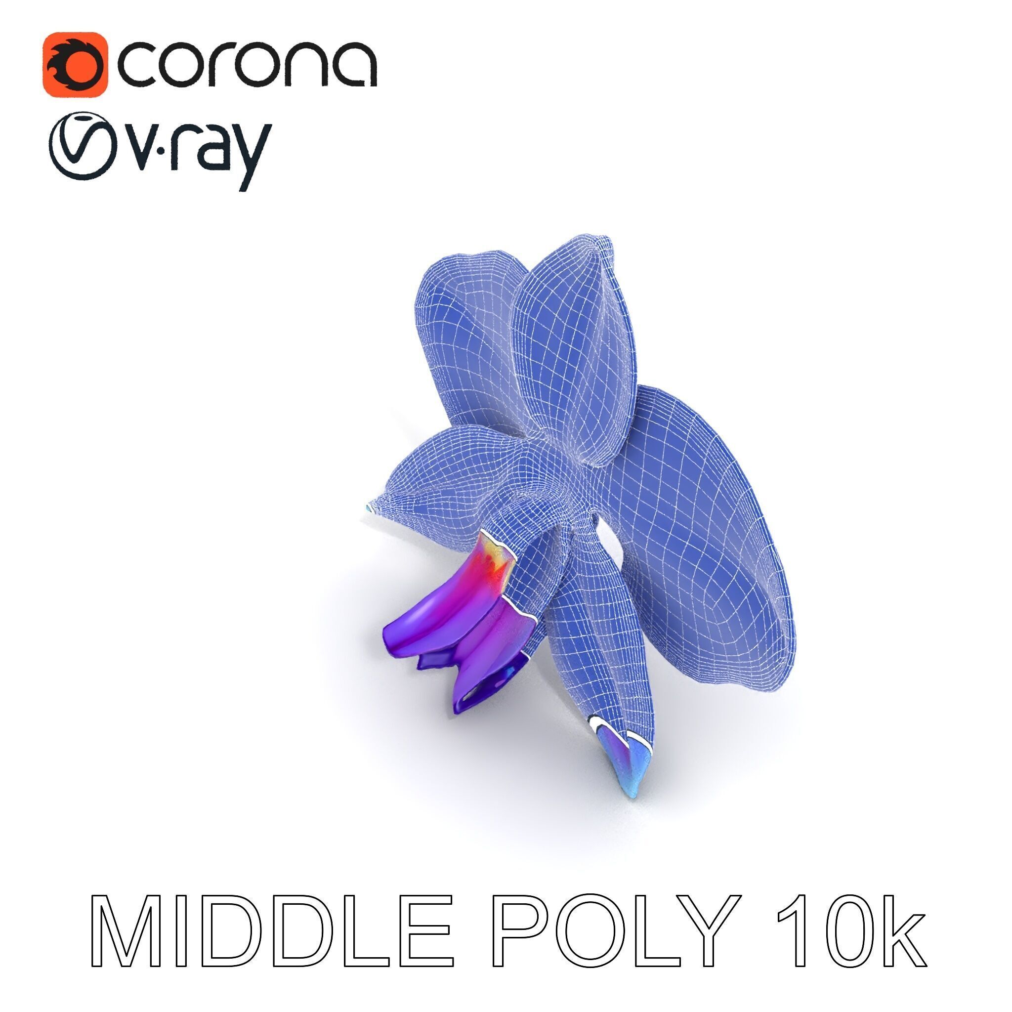 Orchid Flower Model Pack for Realistic D Rendering and Animation Low-poly 3D model_6