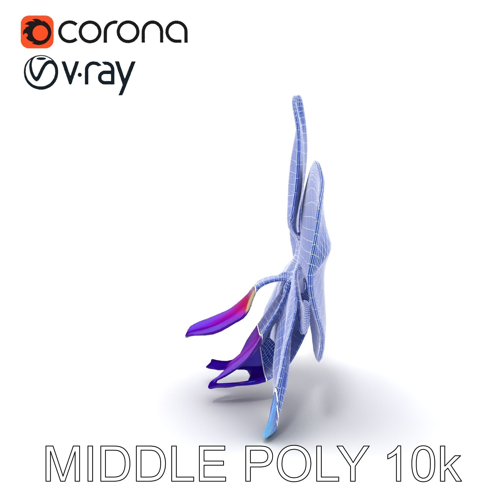 Orchid Flower Model Pack for Realistic D Rendering and Animation Low-poly 3D model_17