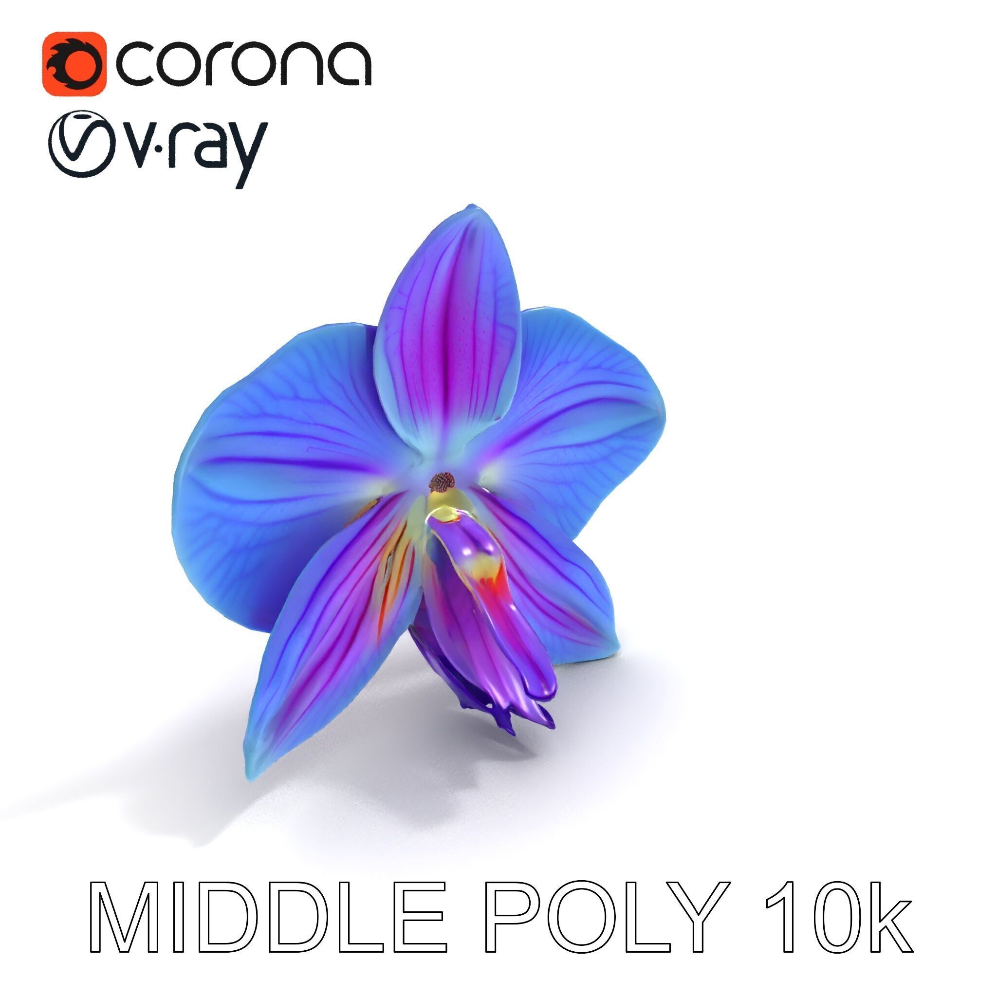 Orchid Flower Model Pack for Realistic D Rendering and Animation Low-poly 3D model_33
