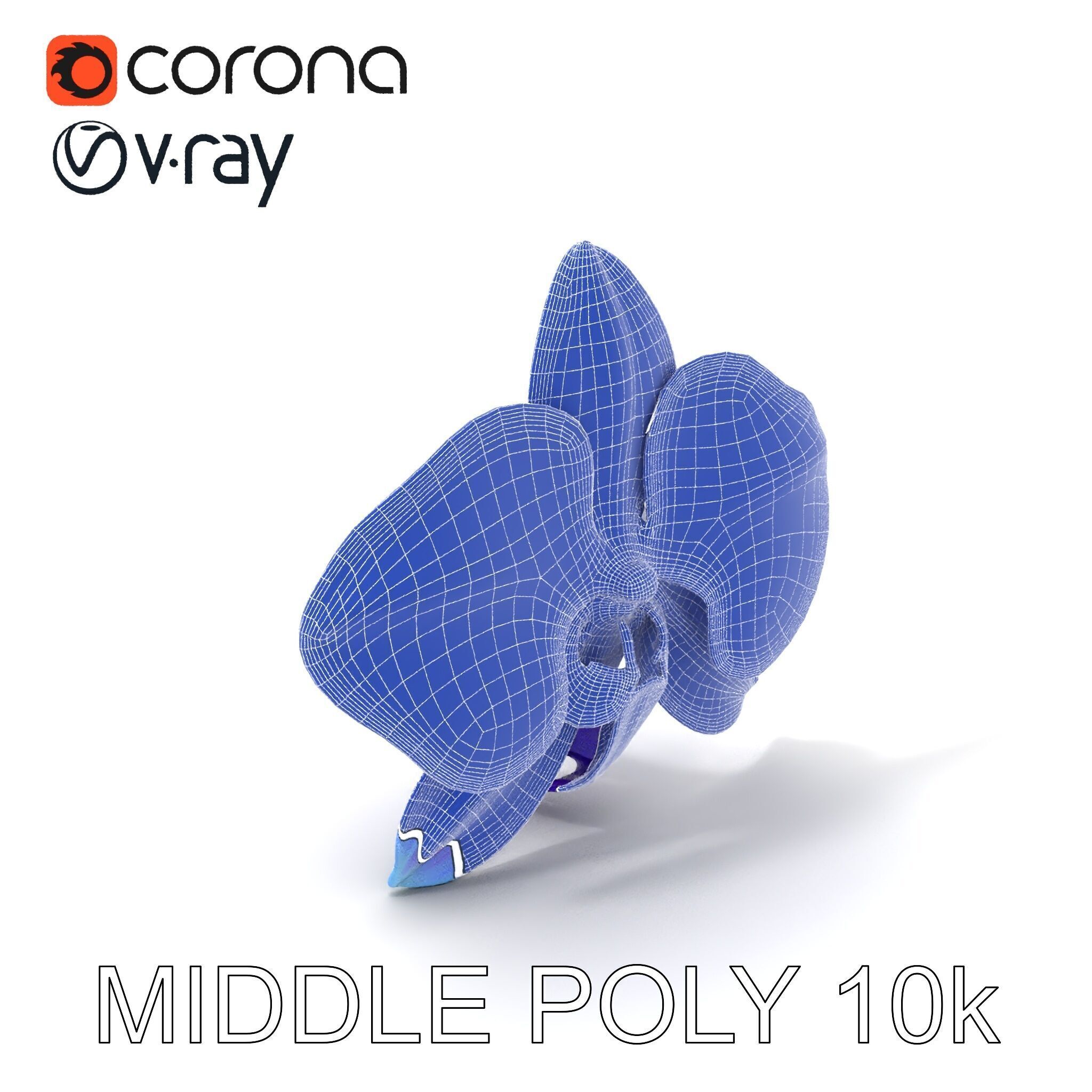 Orchid Flower Model Pack for Realistic D Rendering and Animation Low-poly 3D model_28