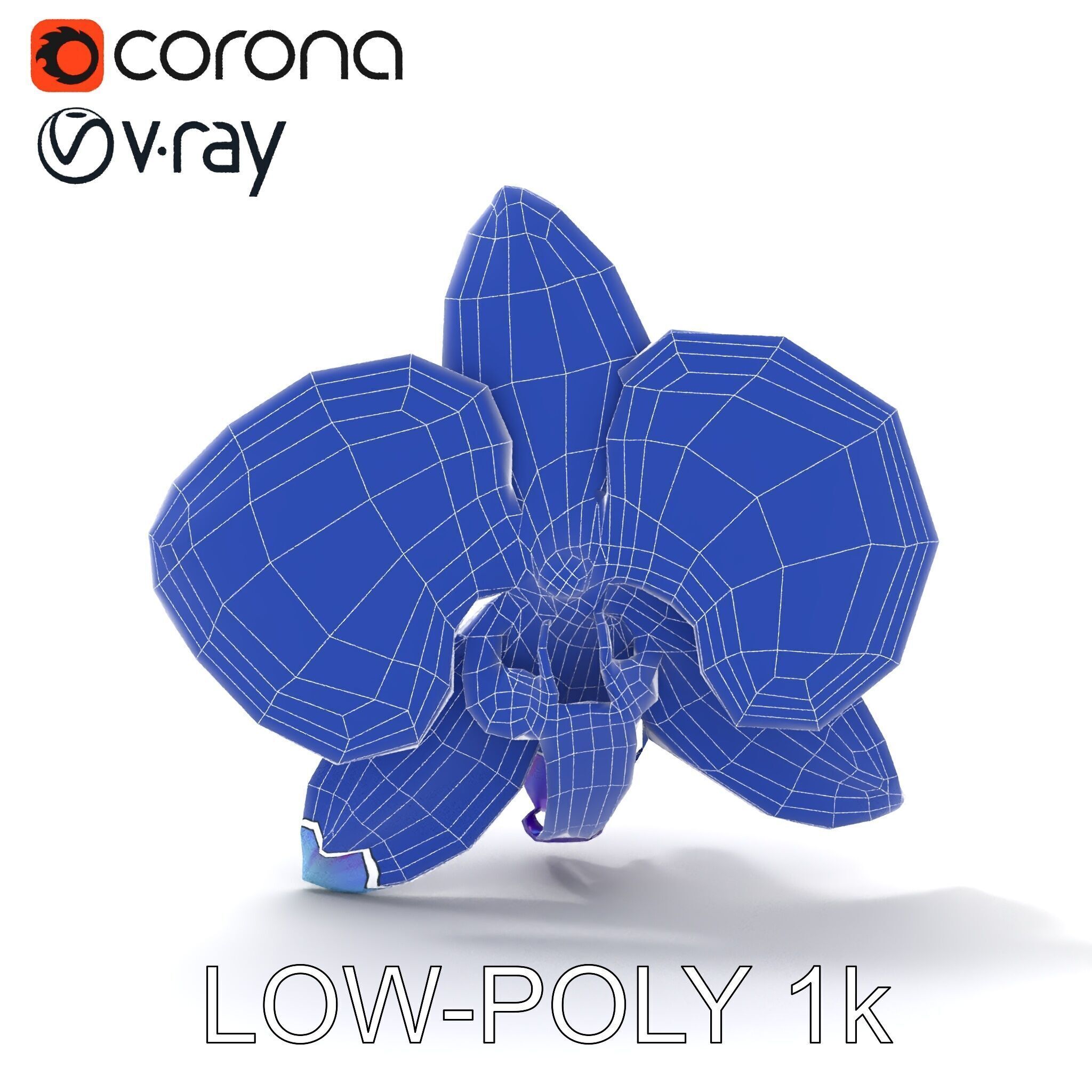 Orchid Flower Model Pack for Realistic D Rendering and Animation Low-poly 3D model_15