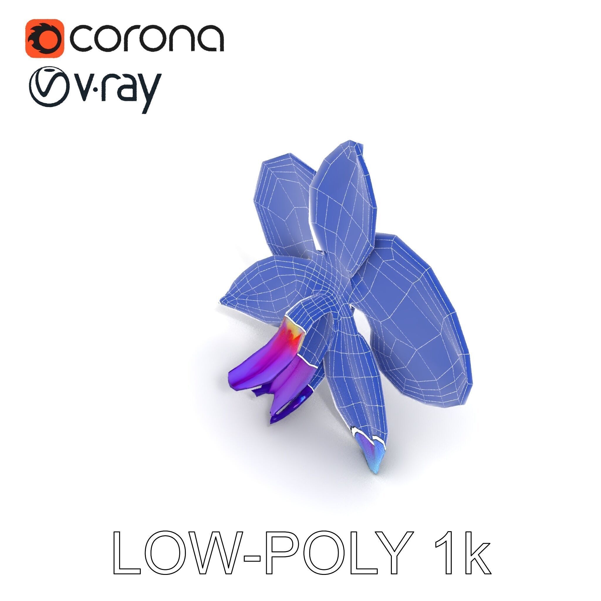 Orchid Flower Model Pack for Realistic D Rendering and Animation Low-poly 3D model_24