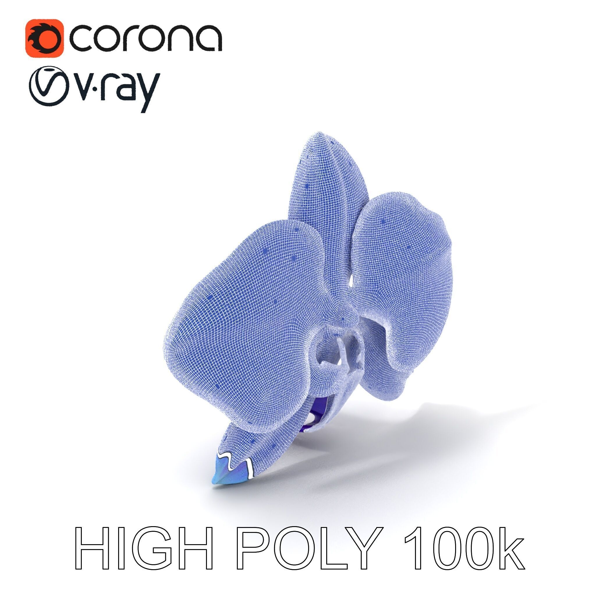 Orchid Flower Model Pack for Realistic D Rendering and Animation Low-poly 3D model_4