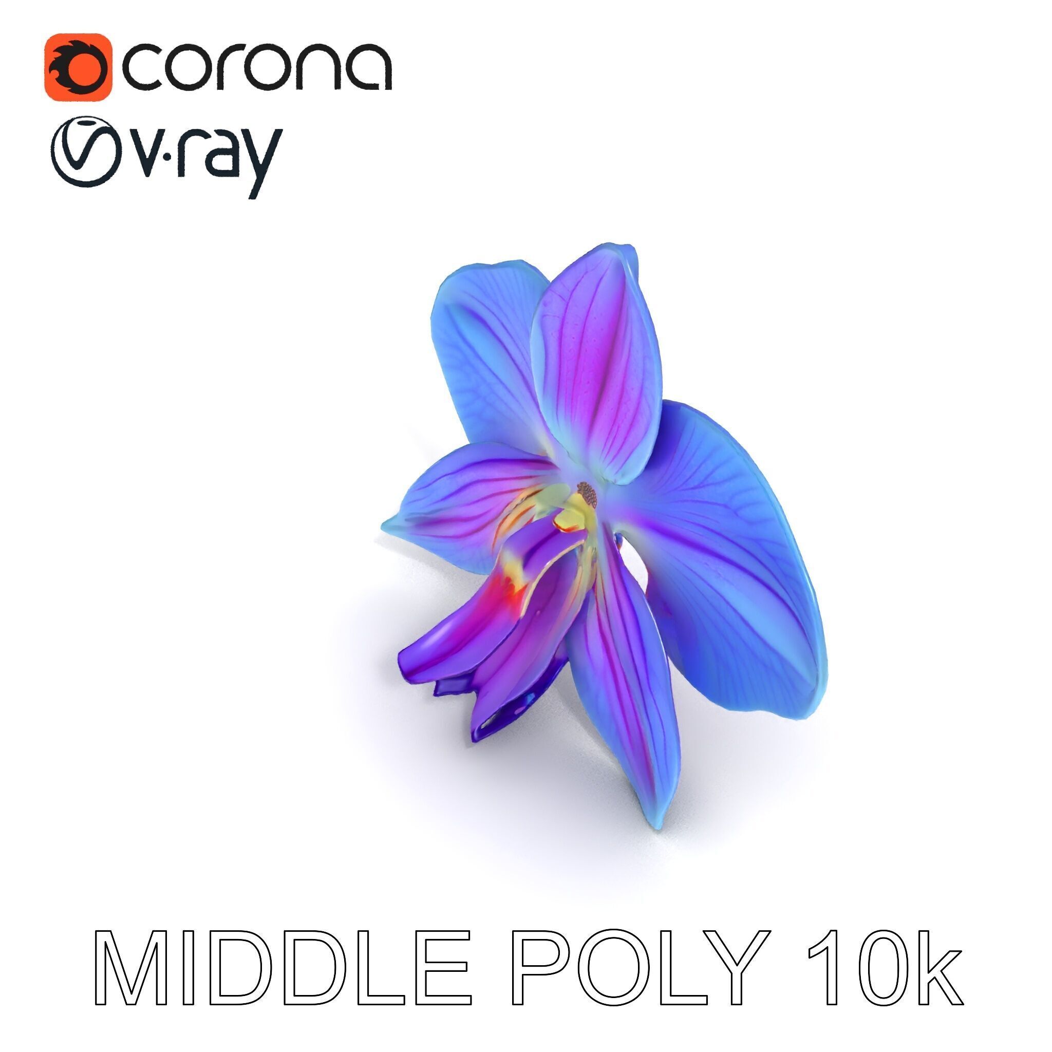 Orchid Flower Model Pack for Realistic D Rendering and Animation Low-poly 3D model_8