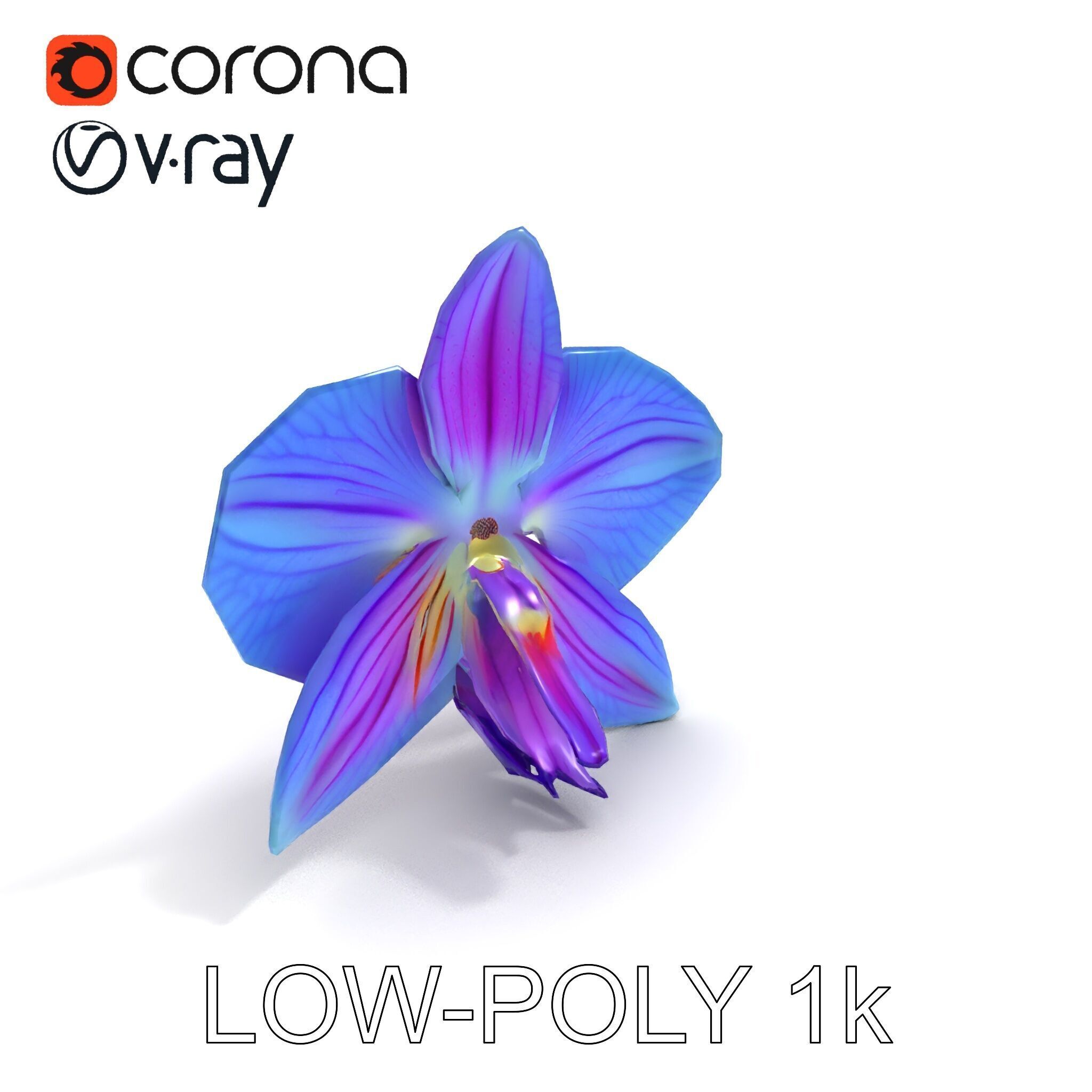 Orchid Flower Model Pack for Realistic D Rendering and Animation Low-poly 3D model_18