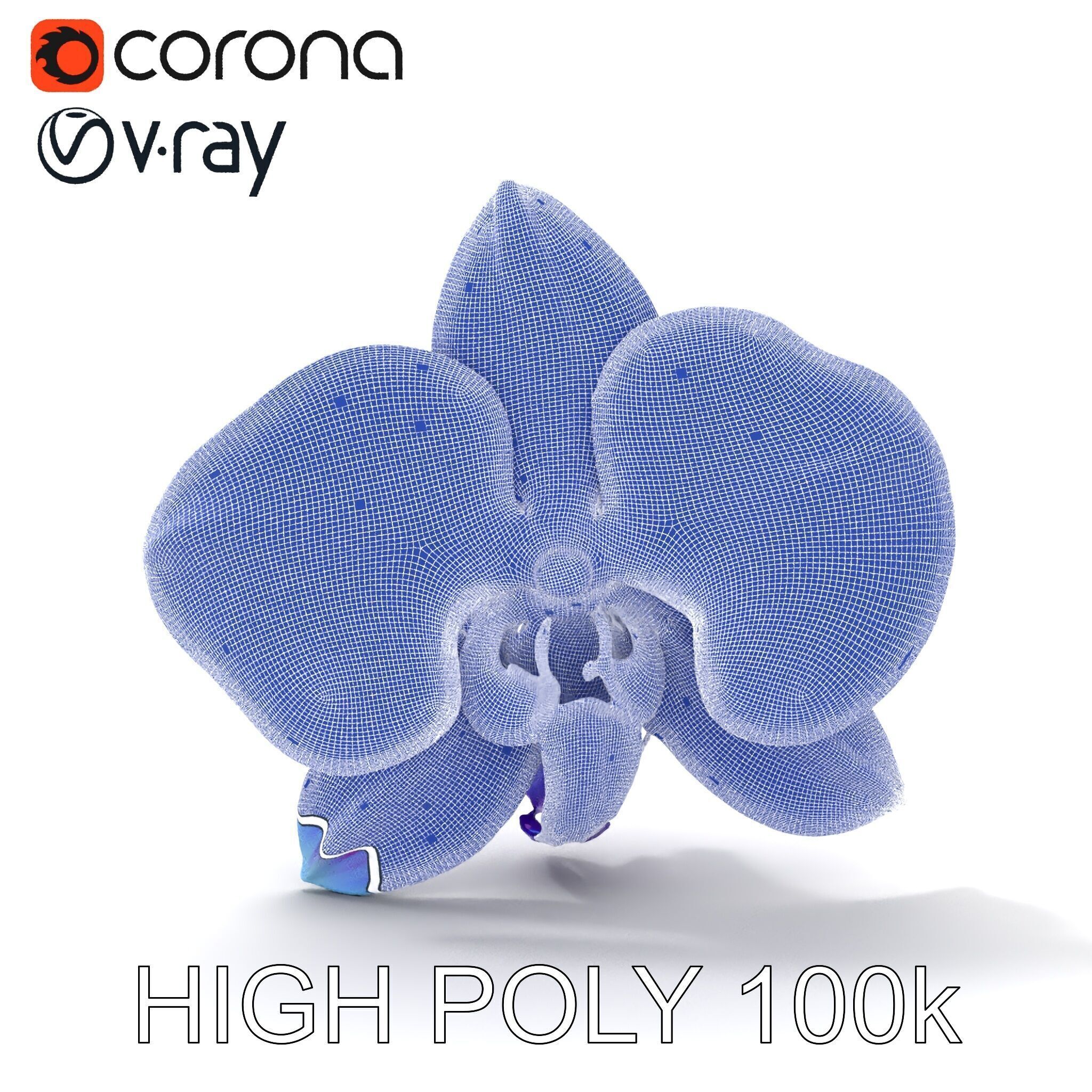 Orchid Flower Model Pack for Realistic D Rendering and Animation Low-poly 3D model_35