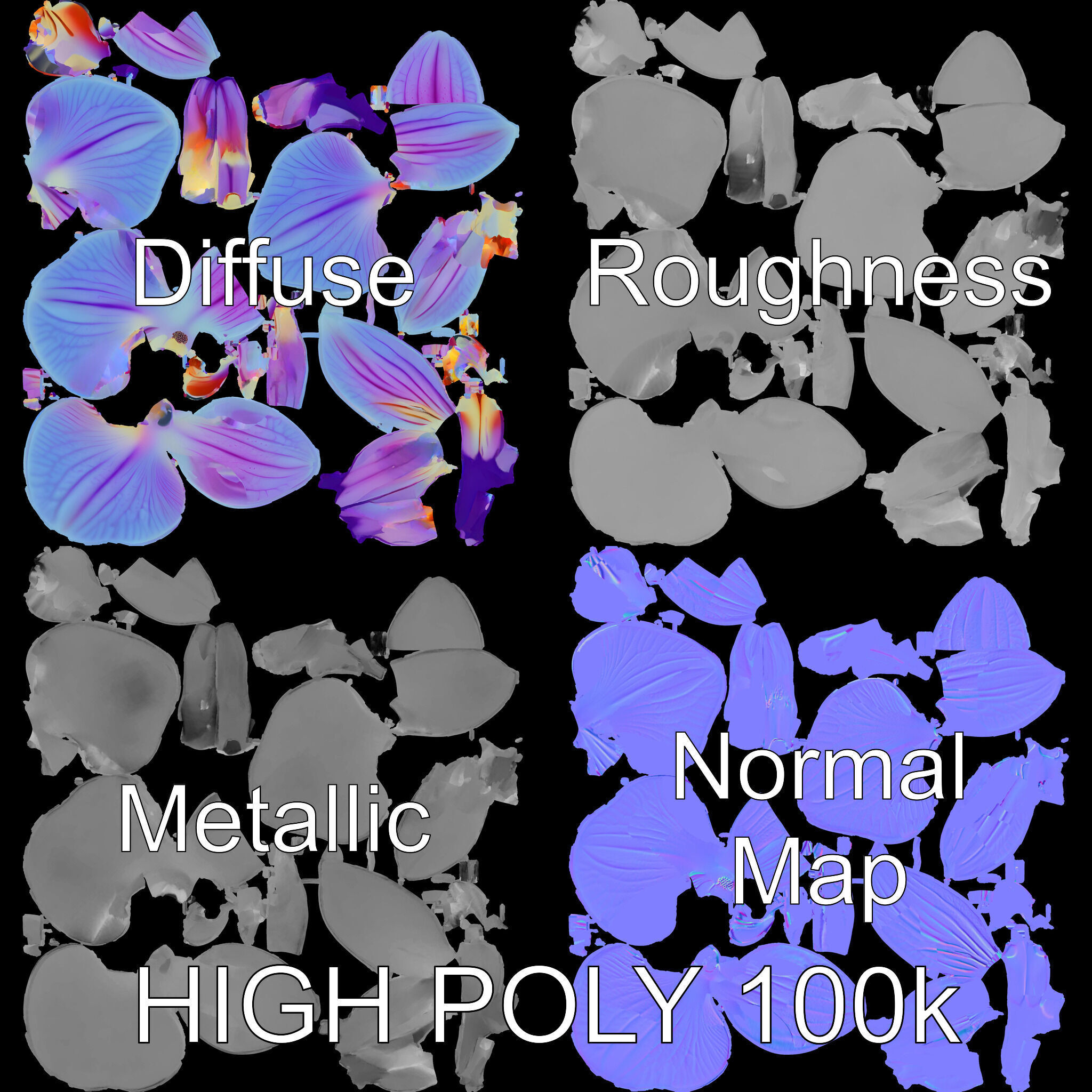 Orchid Flower Model Pack for Realistic D Rendering and Animation Low-poly 3D model_2