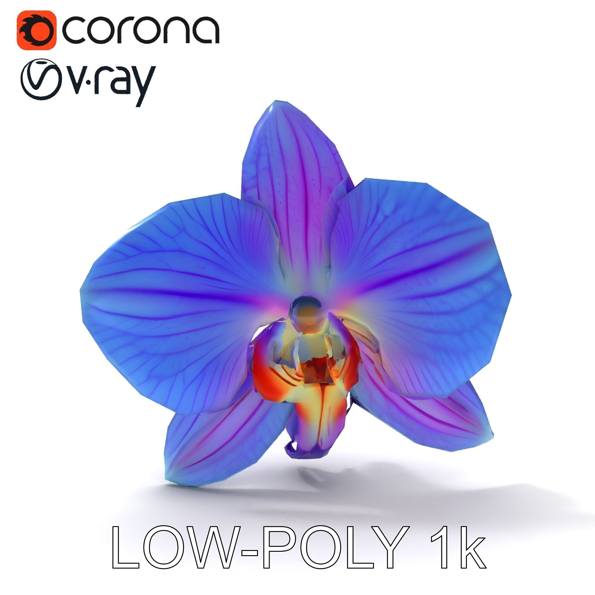 Orchid Flower Model Pack for Realistic D Rendering and Animation Low-poly 3D model_29