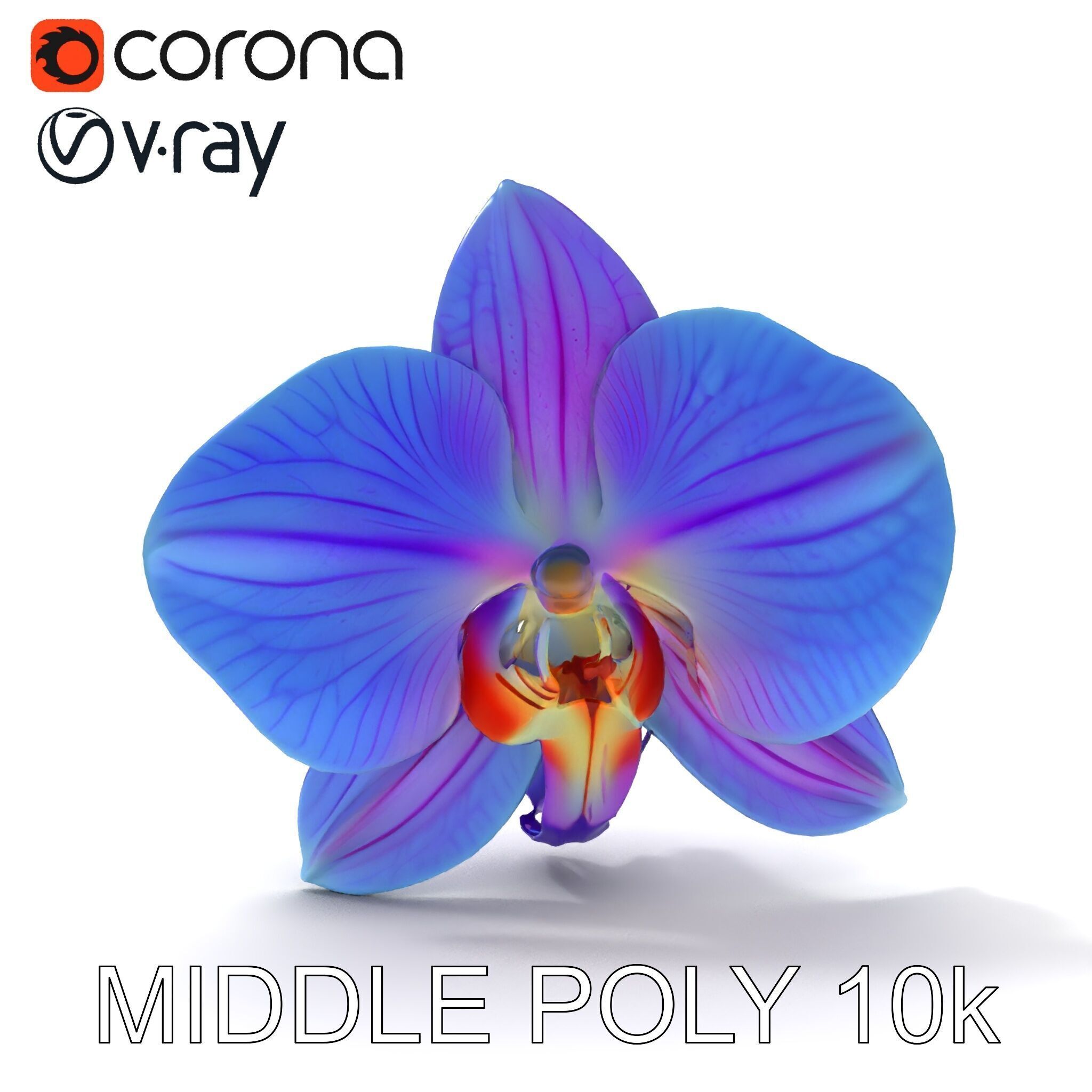 Orchid Flower Model Pack for Realistic D Rendering and Animation Low-poly 3D model_23