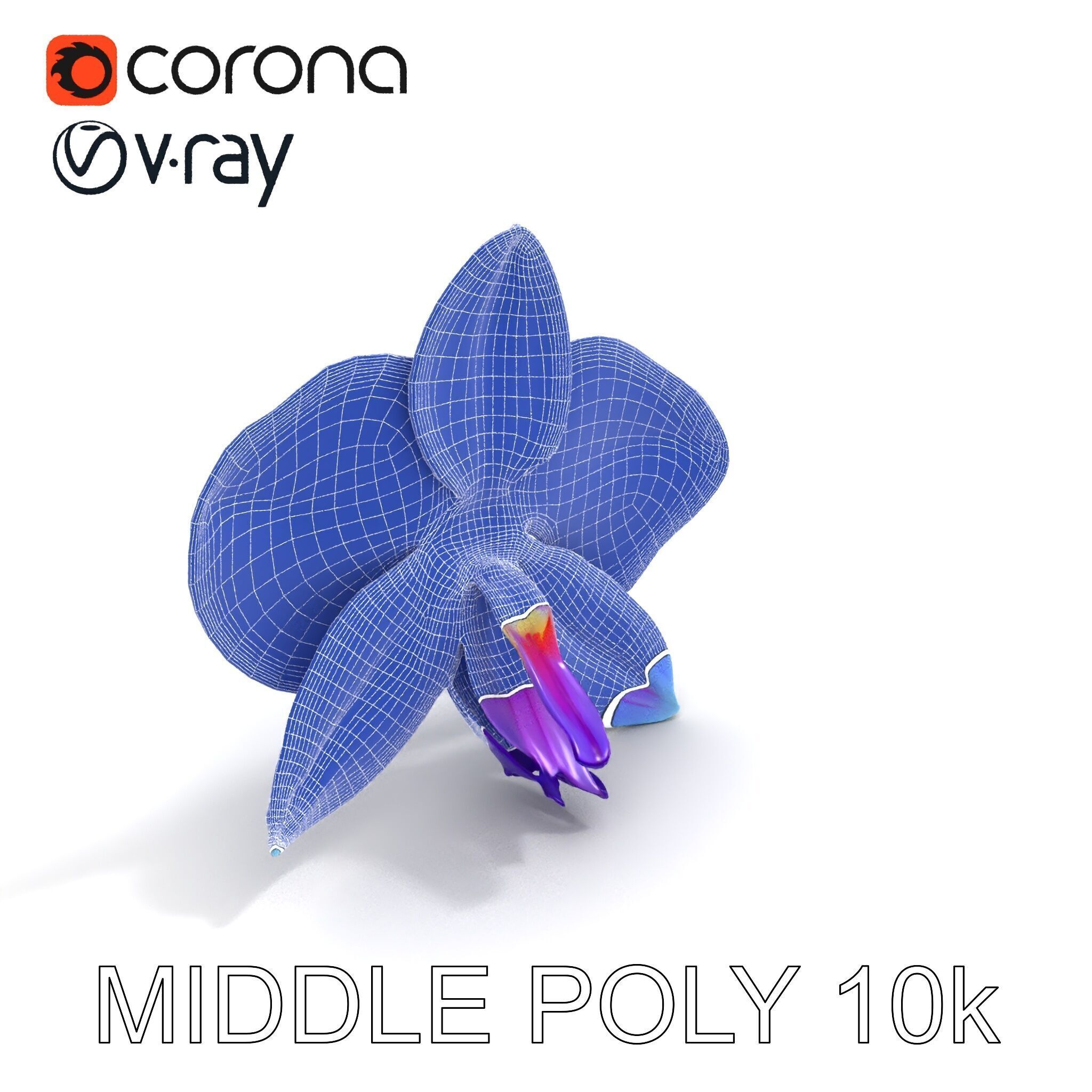 Orchid Flower Model Pack for Realistic D Rendering and Animation Low-poly 3D model_30