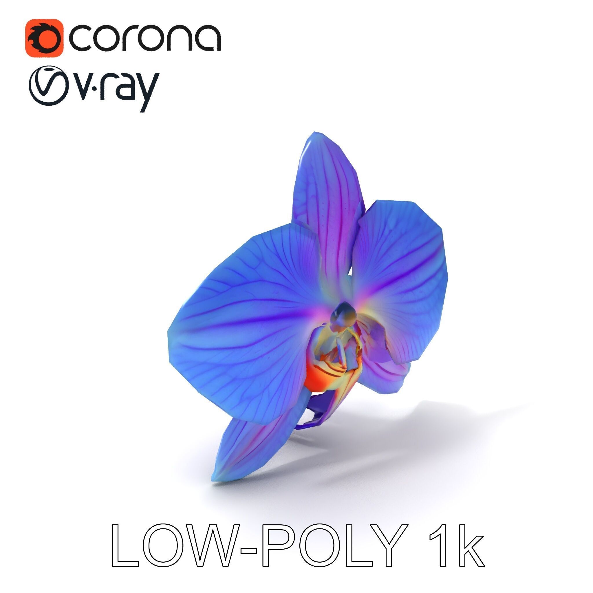 Orchid Flower Model Pack for Realistic D Rendering and Animation Low-poly 3D model_34