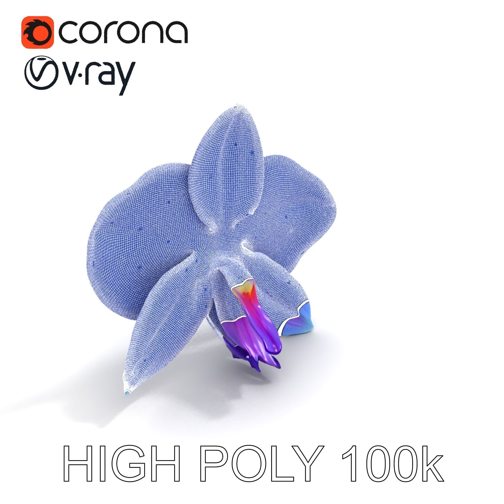 Orchid Flower Model Pack for Realistic D Rendering and Animation Low-poly 3D model_19