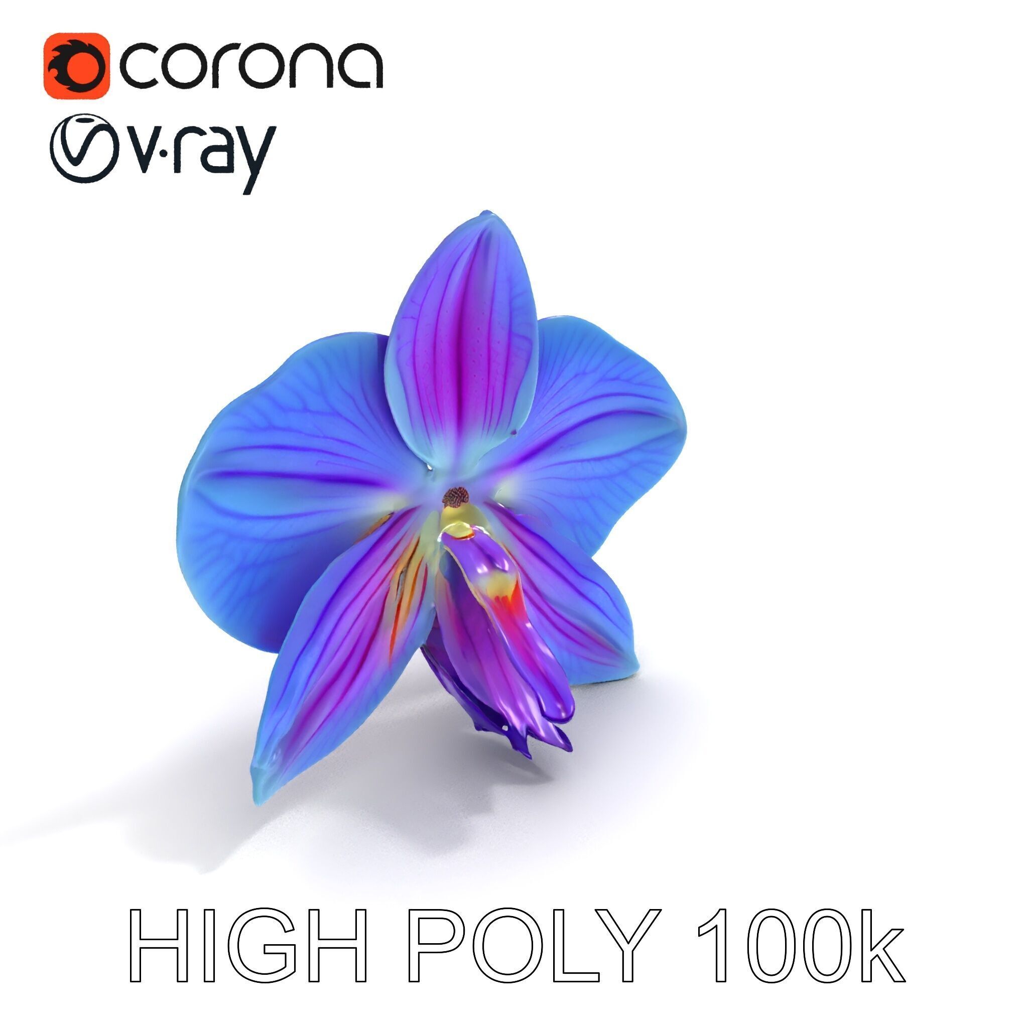 Orchid Flower Model Pack for Realistic D Rendering and Animation Low-poly 3D model_10