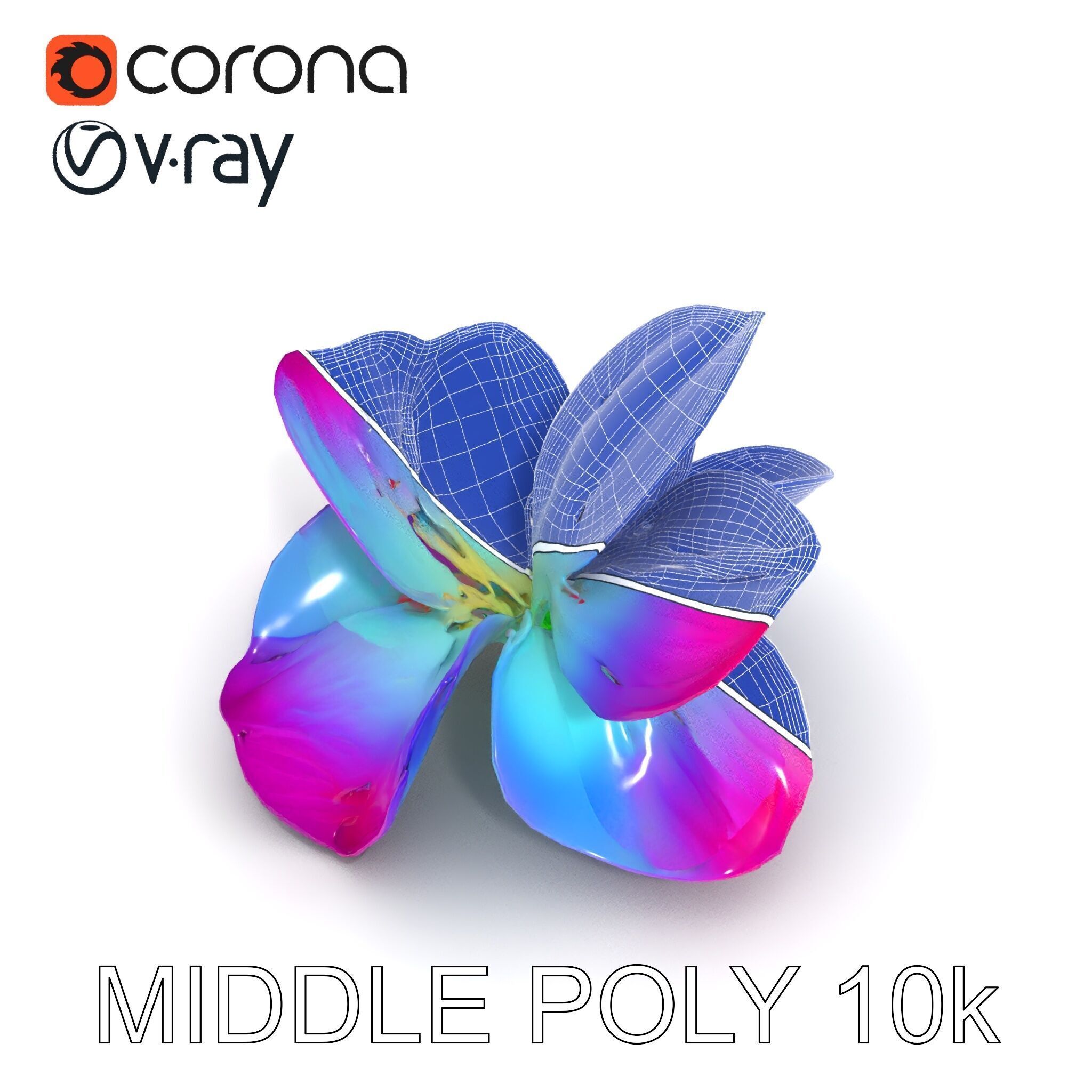 Vibrant Lotus Flower D Model Pack Low-poly 3D model_18