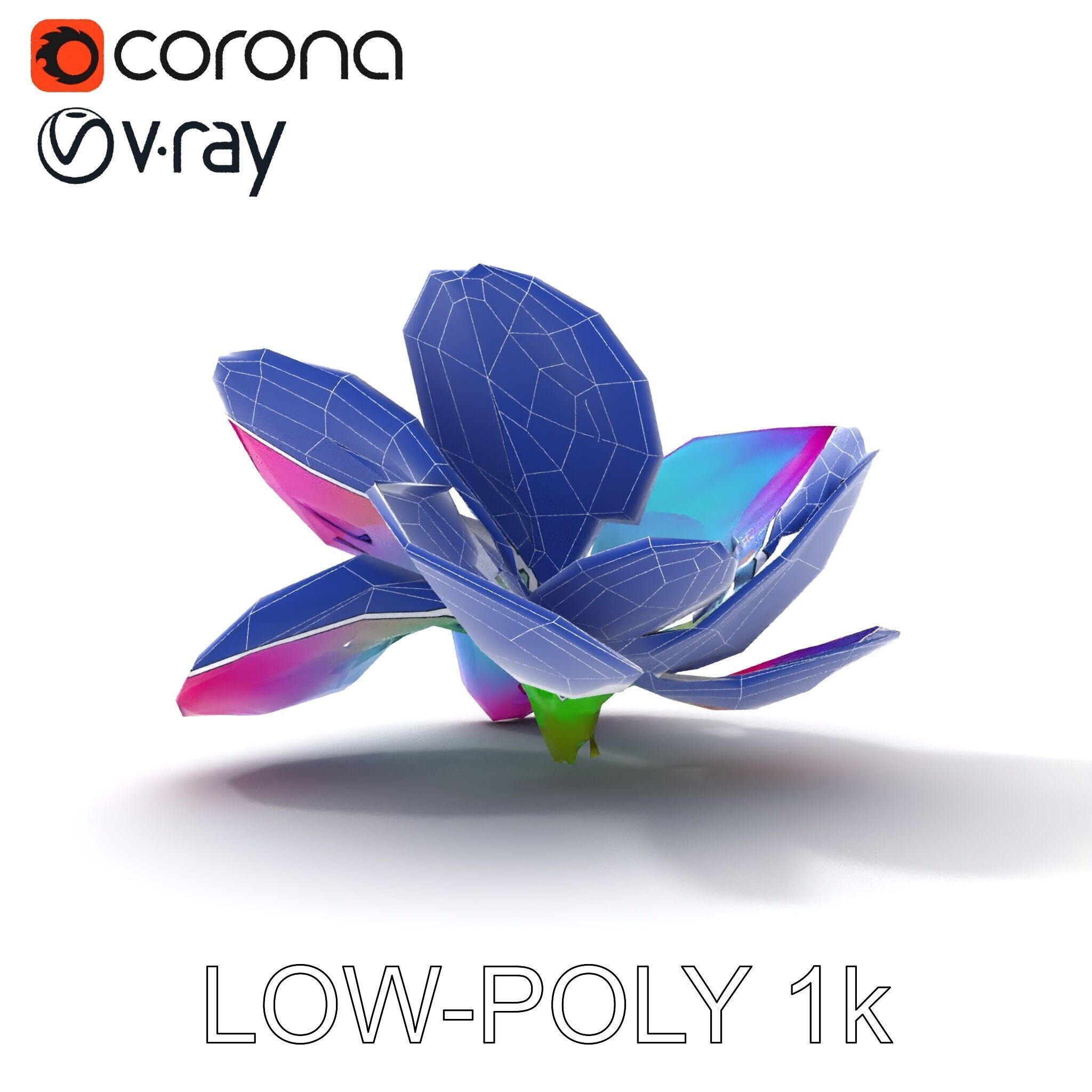 Vibrant Lotus Flower D Model Pack Low-poly 3D model_7