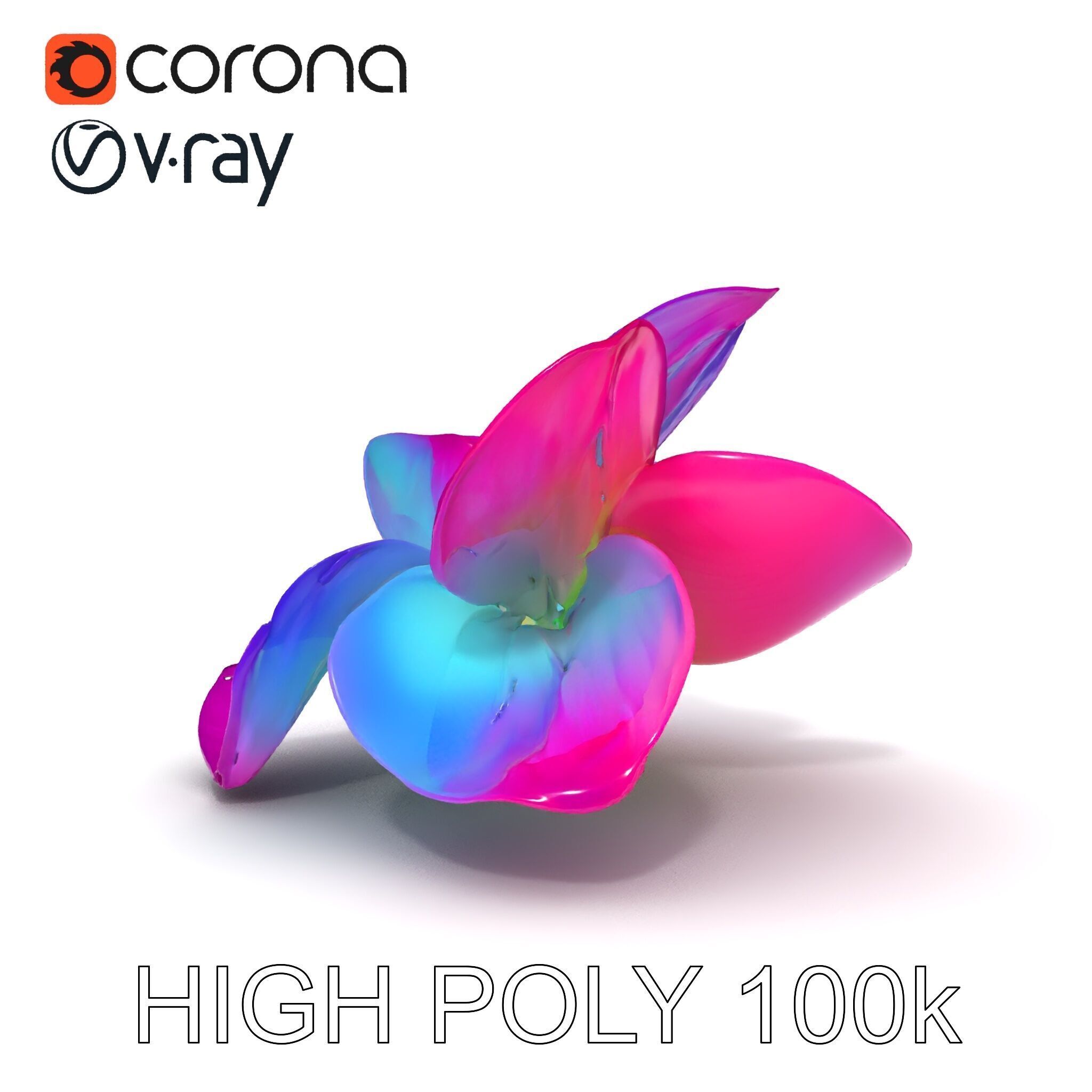 Vibrant Lotus Flower D Model Pack Low-poly 3D model_15