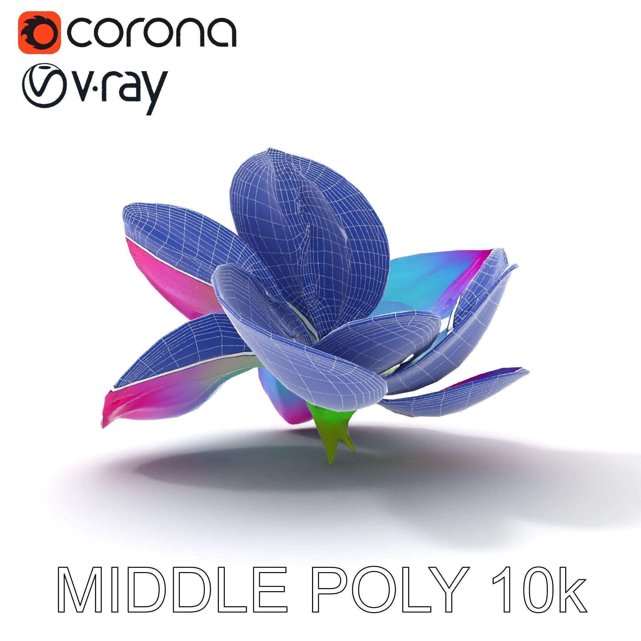 Vibrant Lotus Flower D Model Pack Low-poly 3D model_16