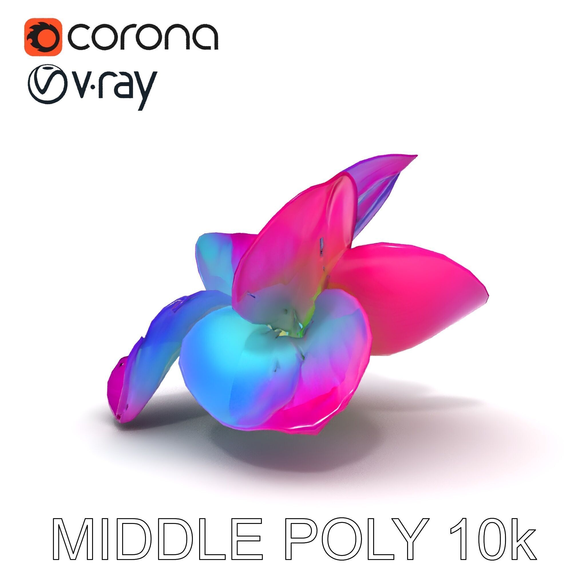 Vibrant Lotus Flower D Model Pack Low-poly 3D model_32