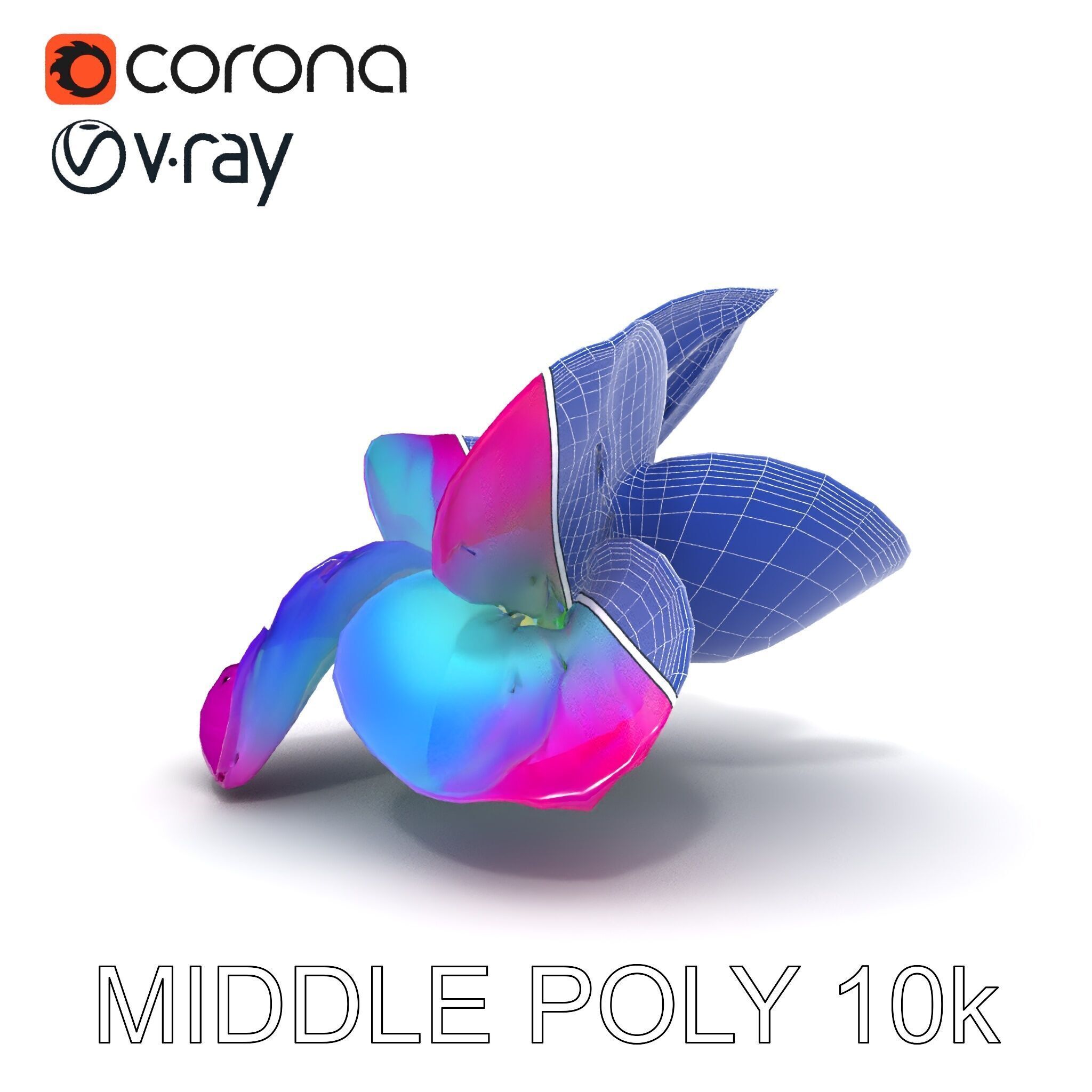 Vibrant Lotus Flower D Model Pack Low-poly 3D model_29