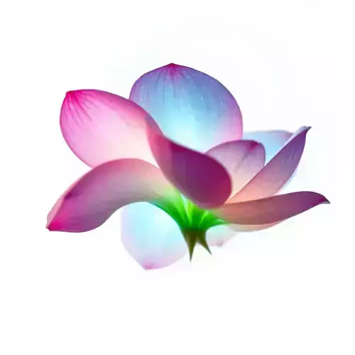Vibrant Lotus Flower D Model Pack Low-poly 3D model