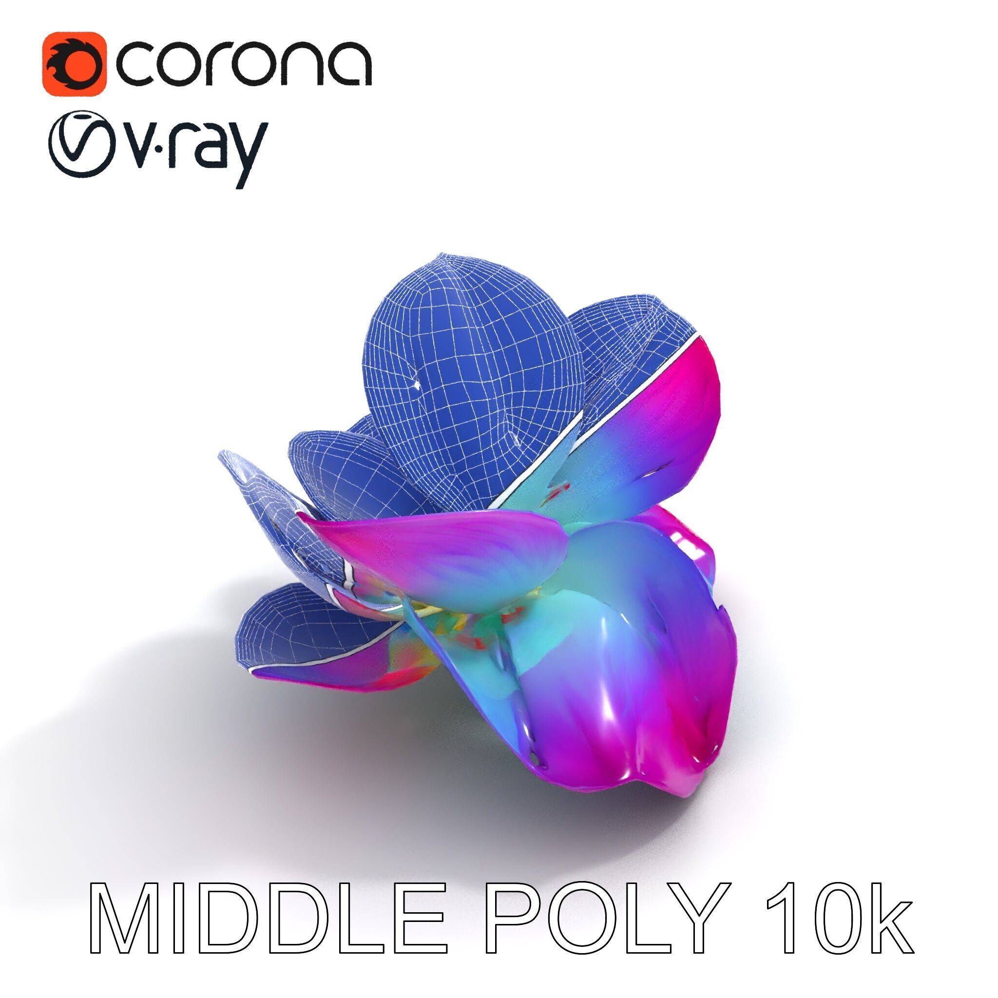 Vibrant Lotus Flower D Model Pack Low-poly 3D model_24