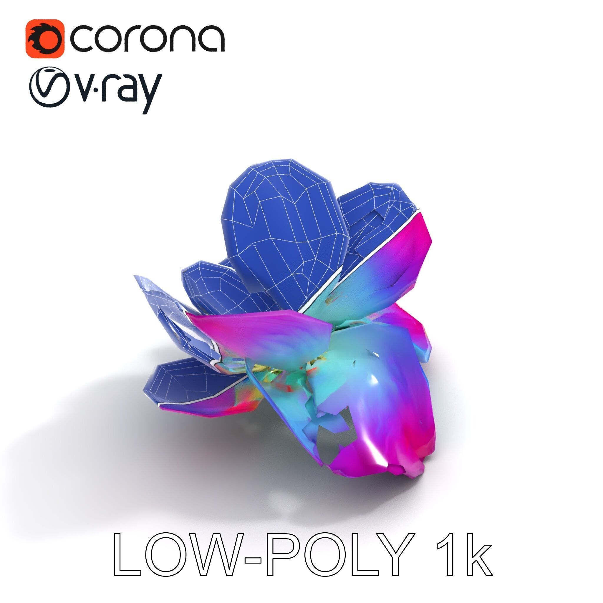 Vibrant Lotus Flower D Model Pack Low-poly 3D model_17