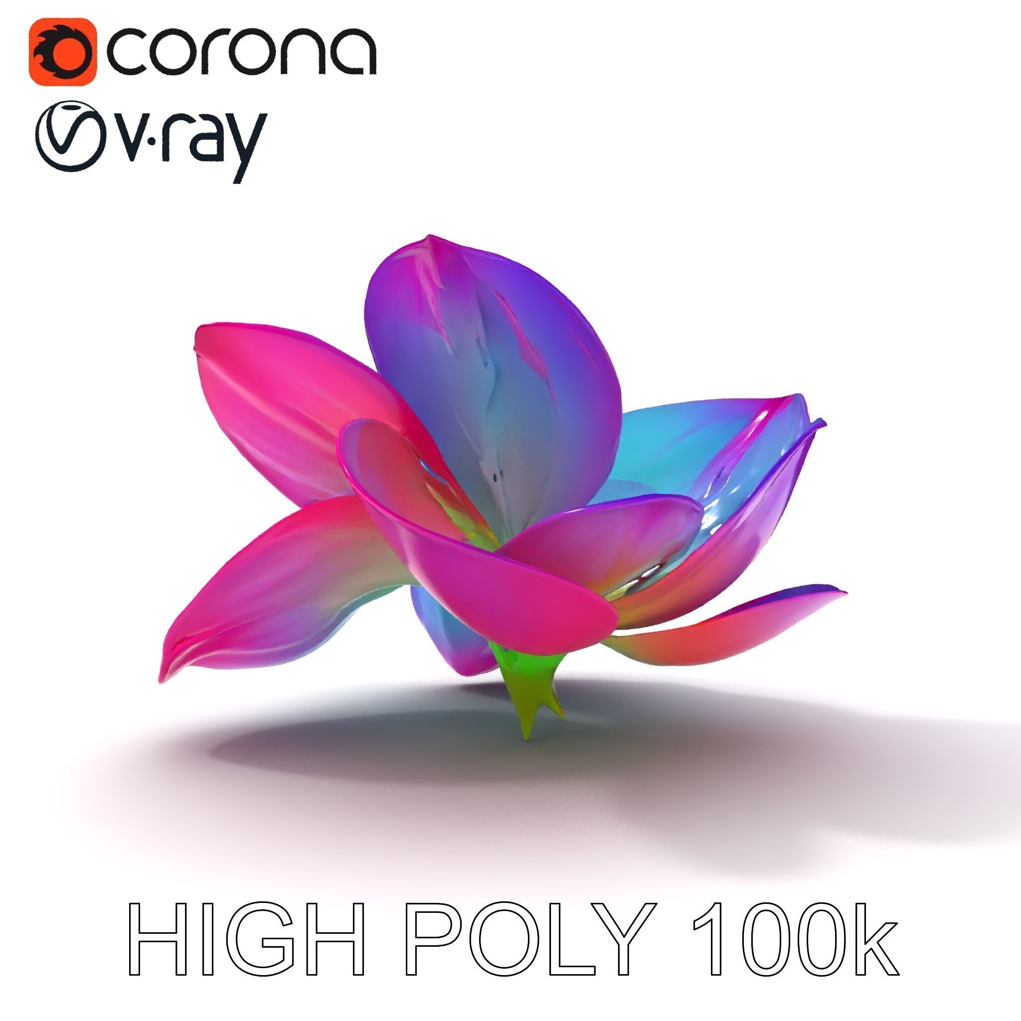 Vibrant Lotus Flower D Model Pack Low-poly 3D model_23