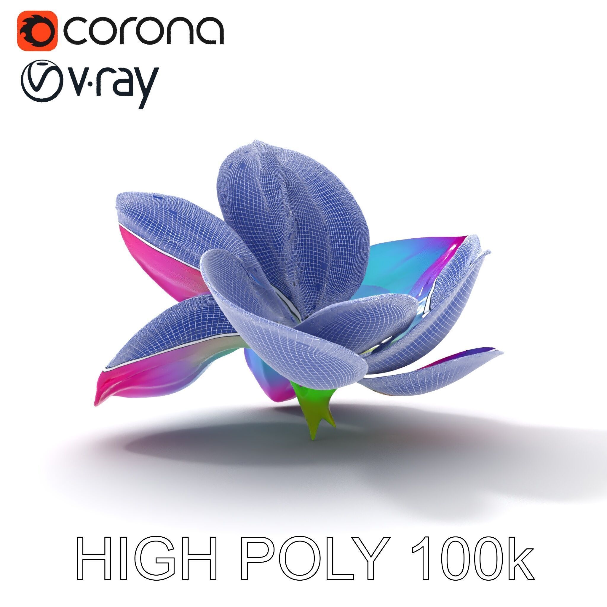 Vibrant Lotus Flower D Model Pack Low-poly 3D model_31
