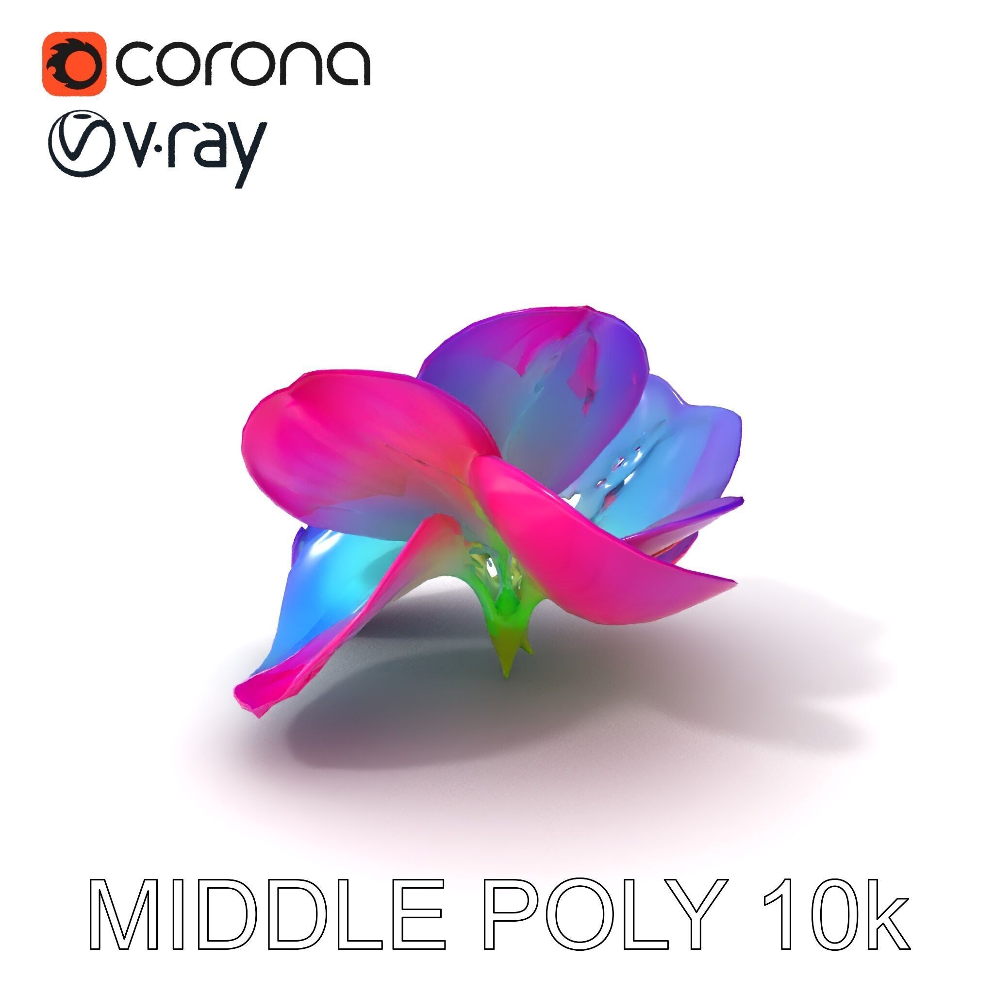 Vibrant Lotus Flower D Model Pack Low-poly 3D model_6