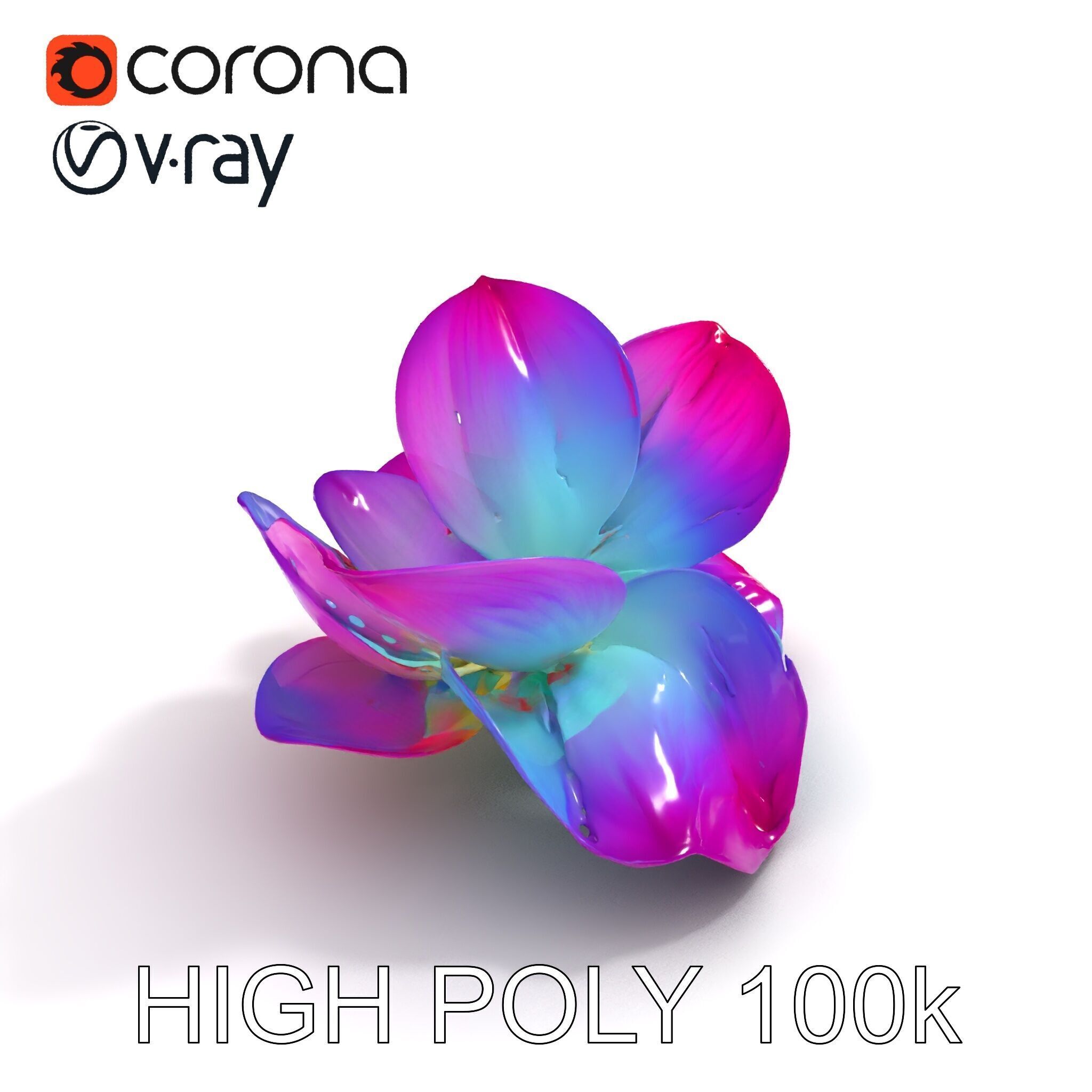 Vibrant Lotus Flower D Model Pack Low-poly 3D model_35