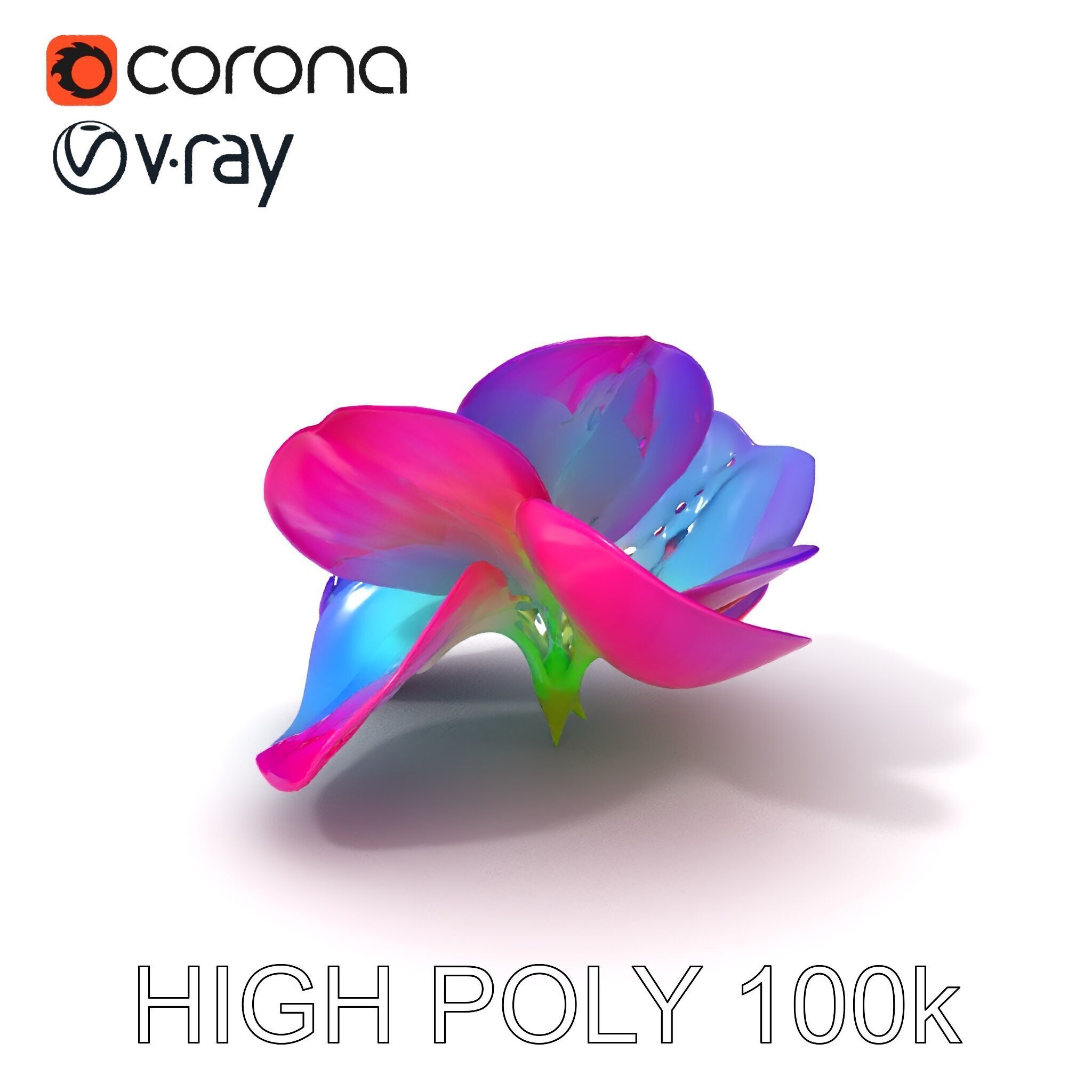 Vibrant Lotus Flower D Model Pack Low-poly 3D model_3