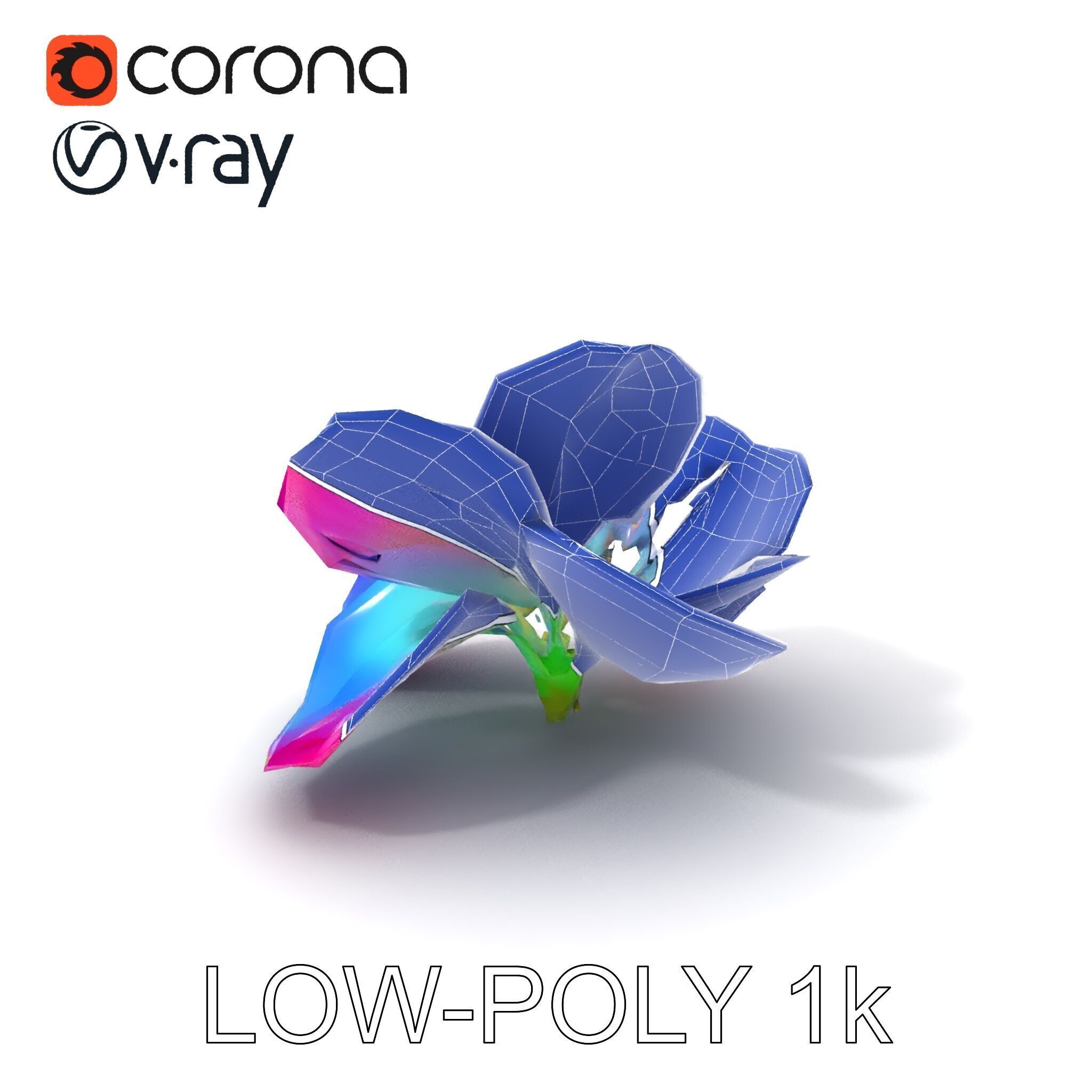Vibrant Lotus Flower D Model Pack Low-poly 3D model_10